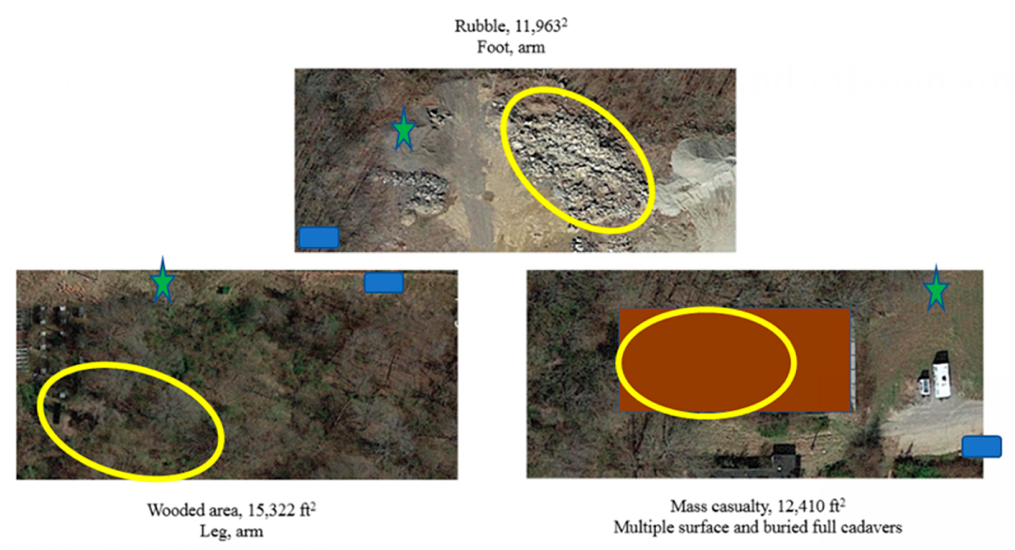 Animals 10 00673 g001