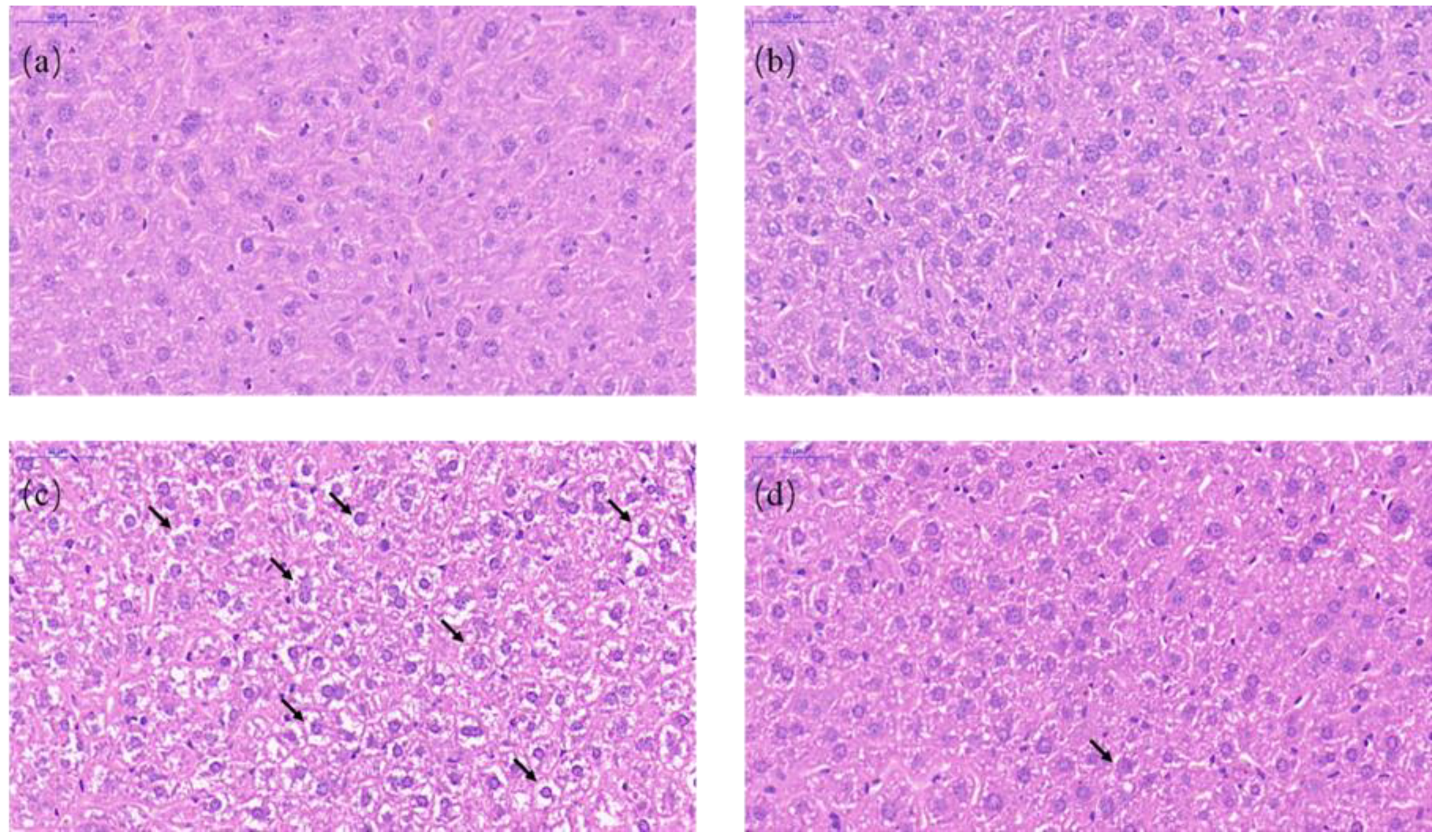 Animals 10 00677 g003