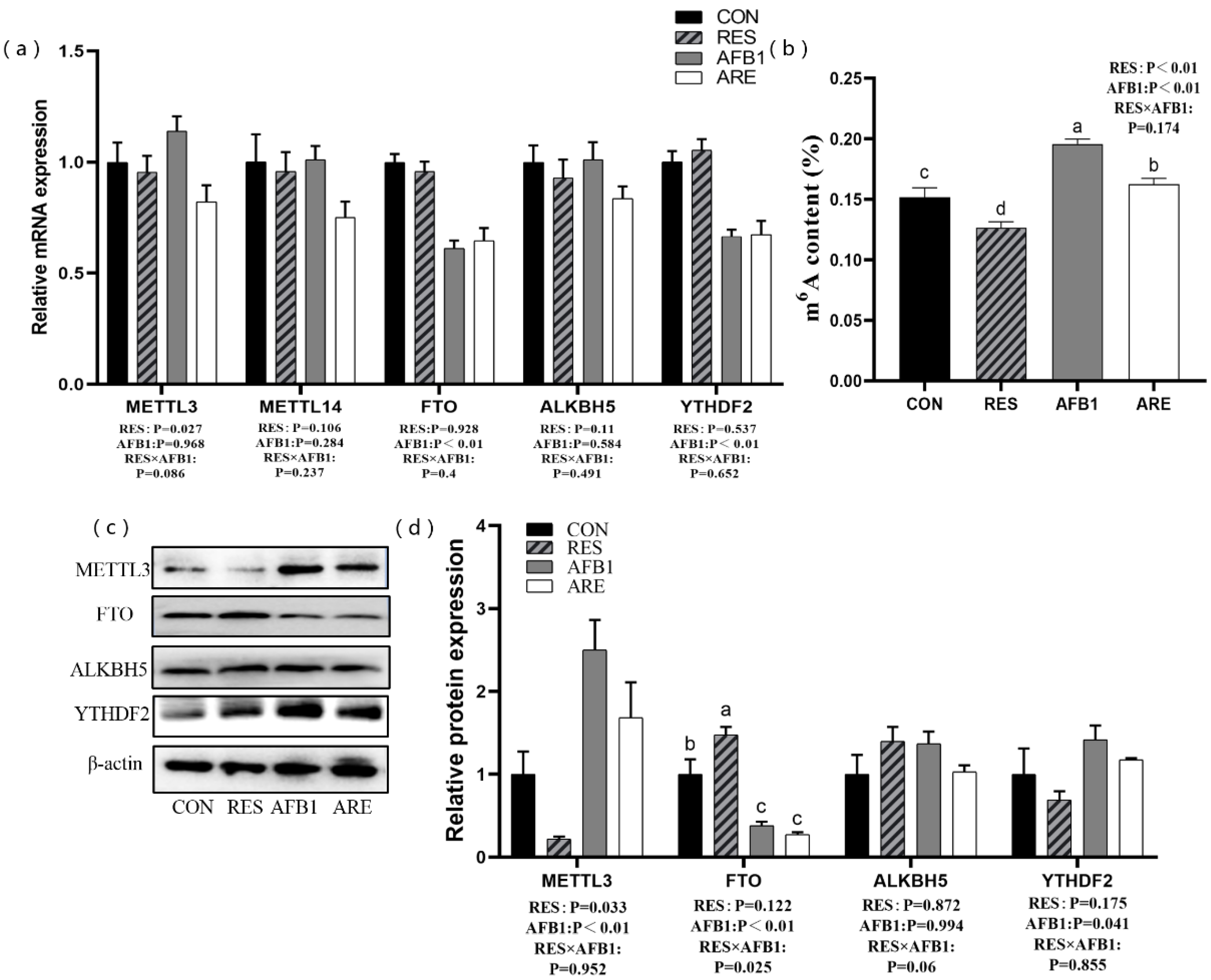 Animals 10 00677 g007