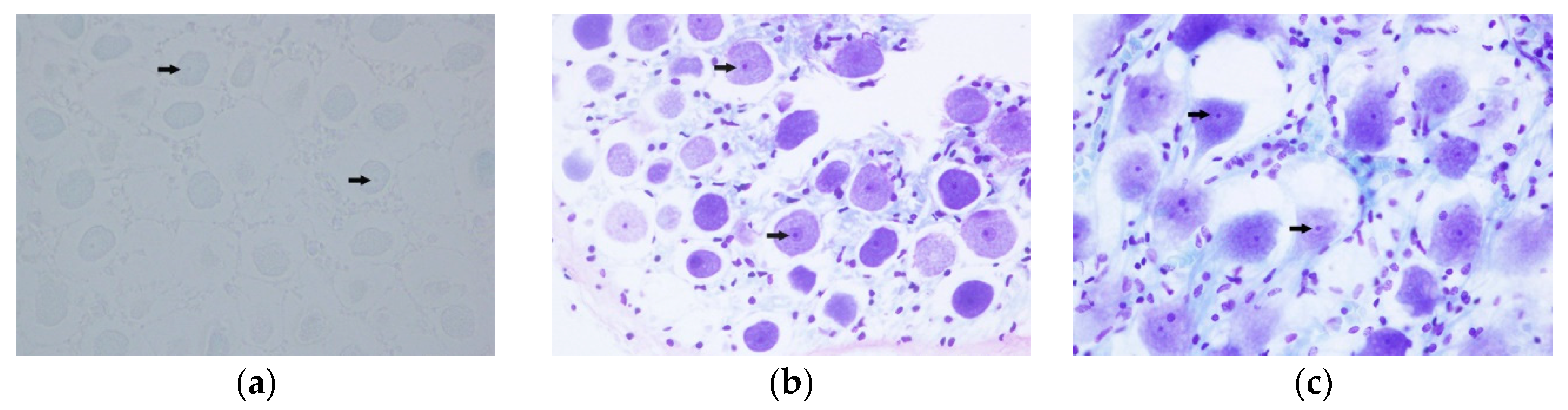 Animals 10 00683 g003