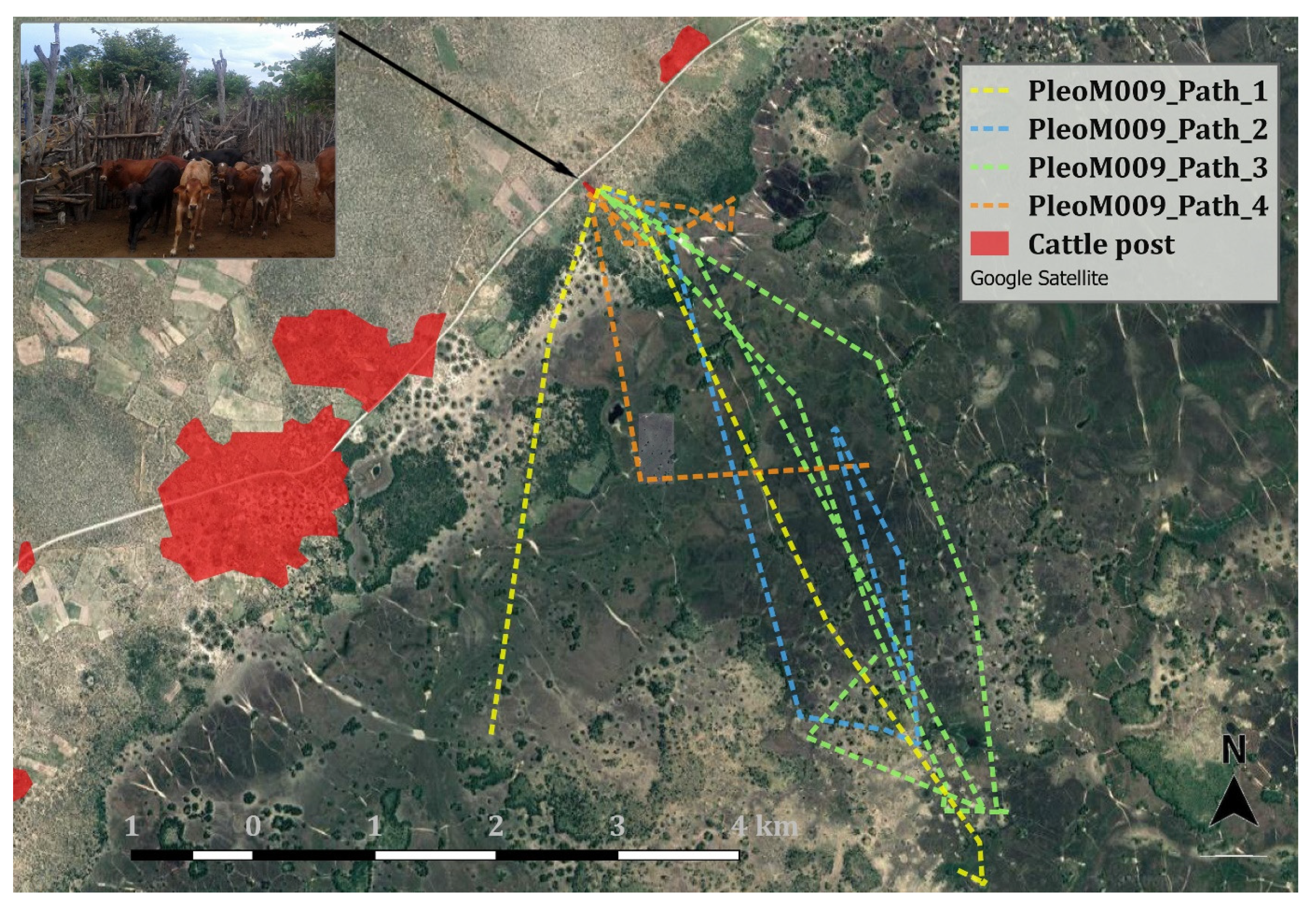 Animals 10 00692 g007