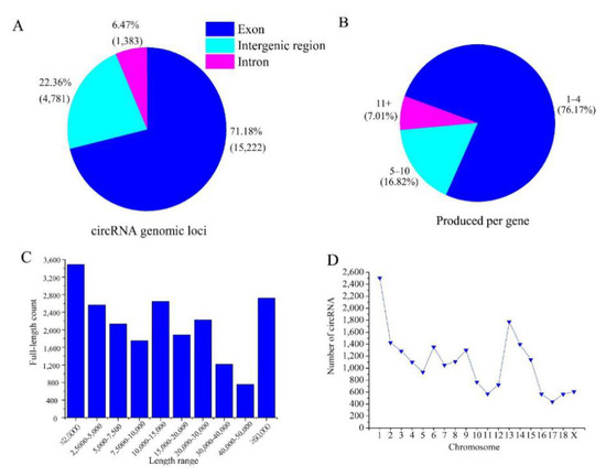 Animals Free Full Text Ovarian Circular Rnas Associated With High And Low Fertility In Large White Sows During The Follicular And Luteal Phases Of The Estrous Cycle Html Animals Free Full Text Ovarian Circular Rnas Associated With High And Low Fertility In Large White Sows During The Follicular And Luteal Phases Of The Estrous Cycle Html
