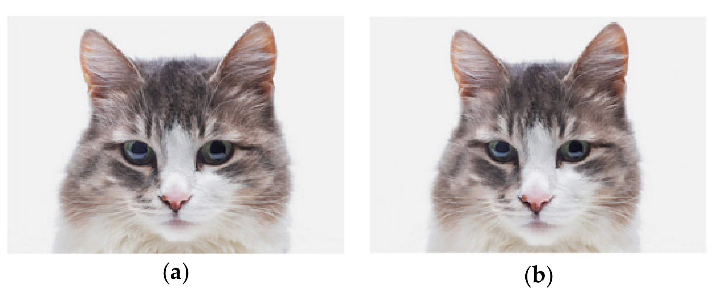 Animals 10 00721 g001 Animals 10 00721 g001