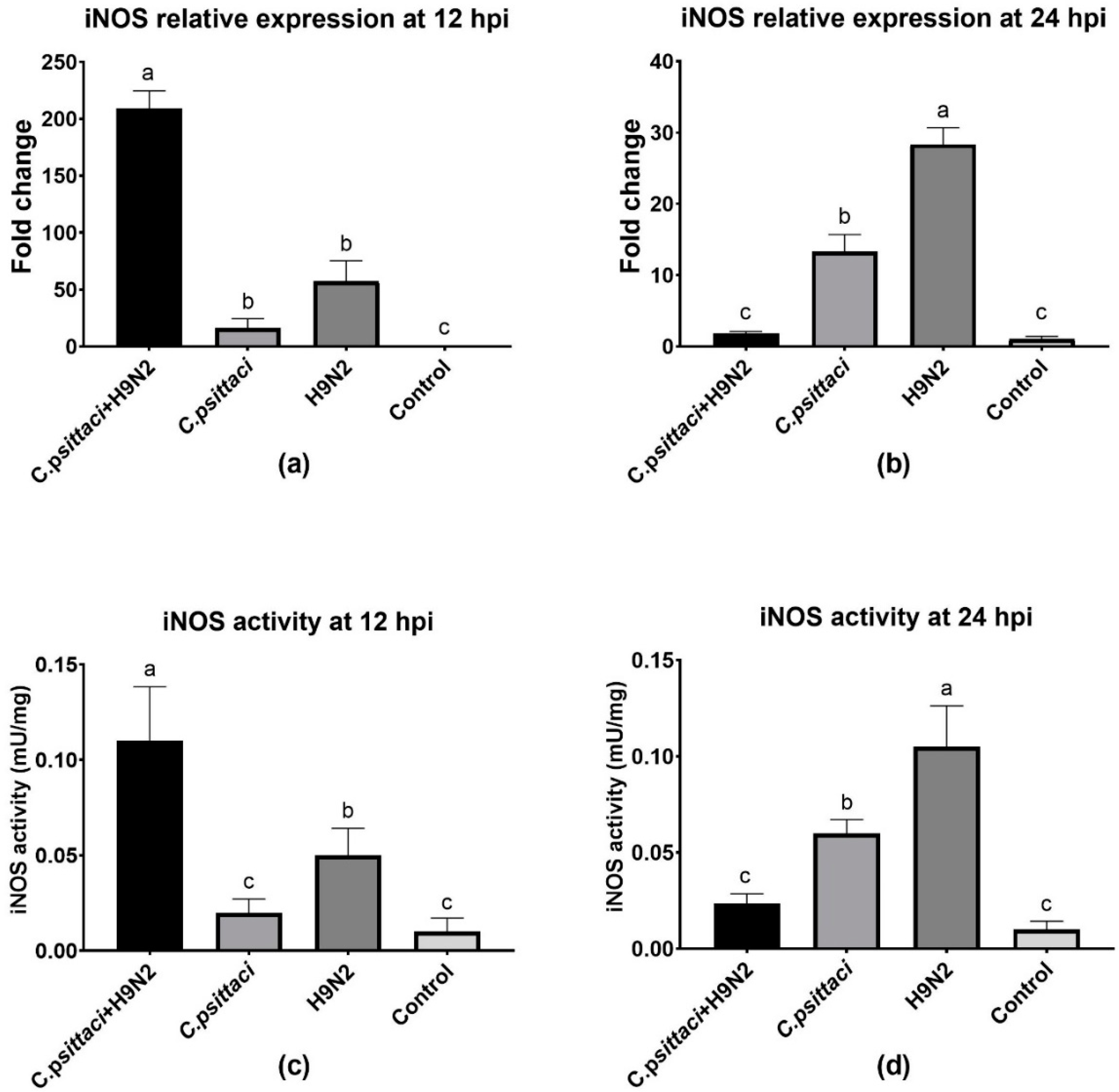 Animals 10 00722 g003