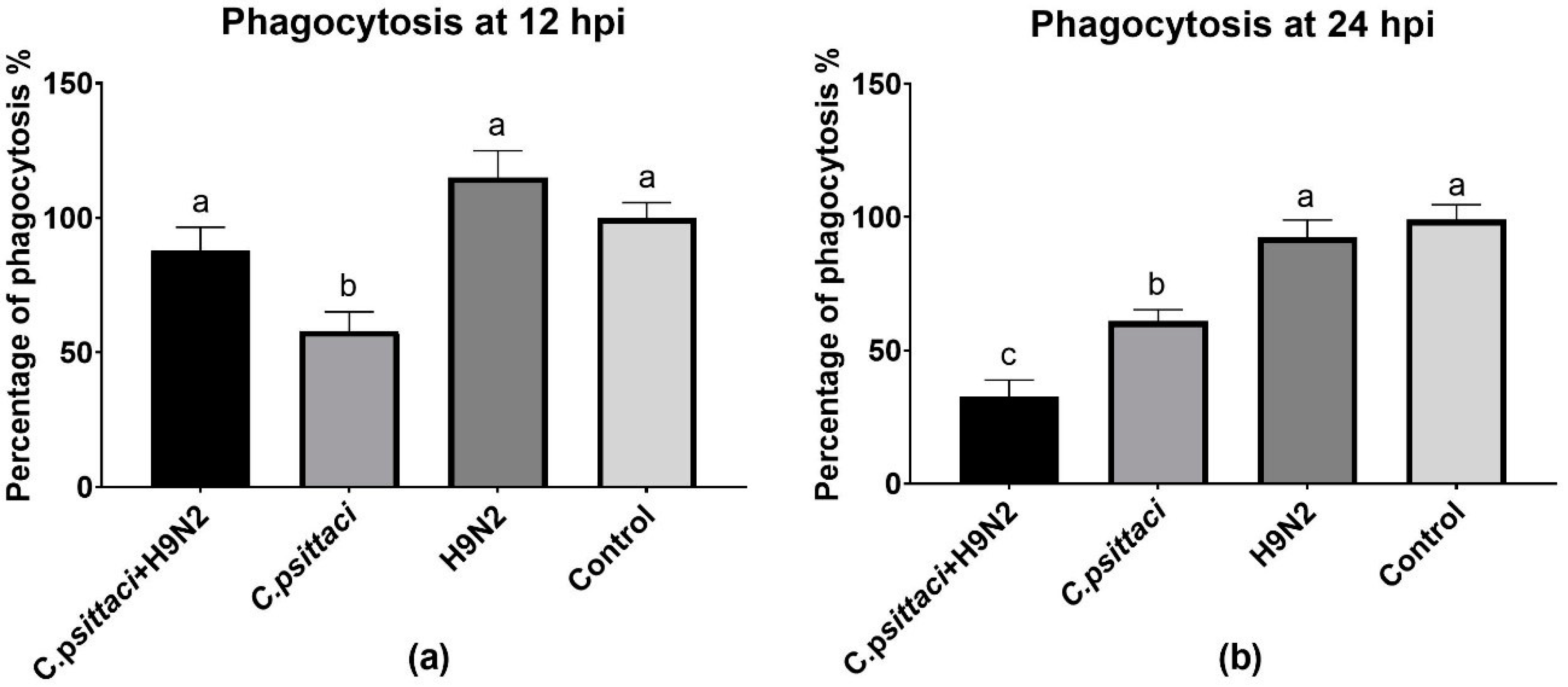 Animals 10 00722 g005