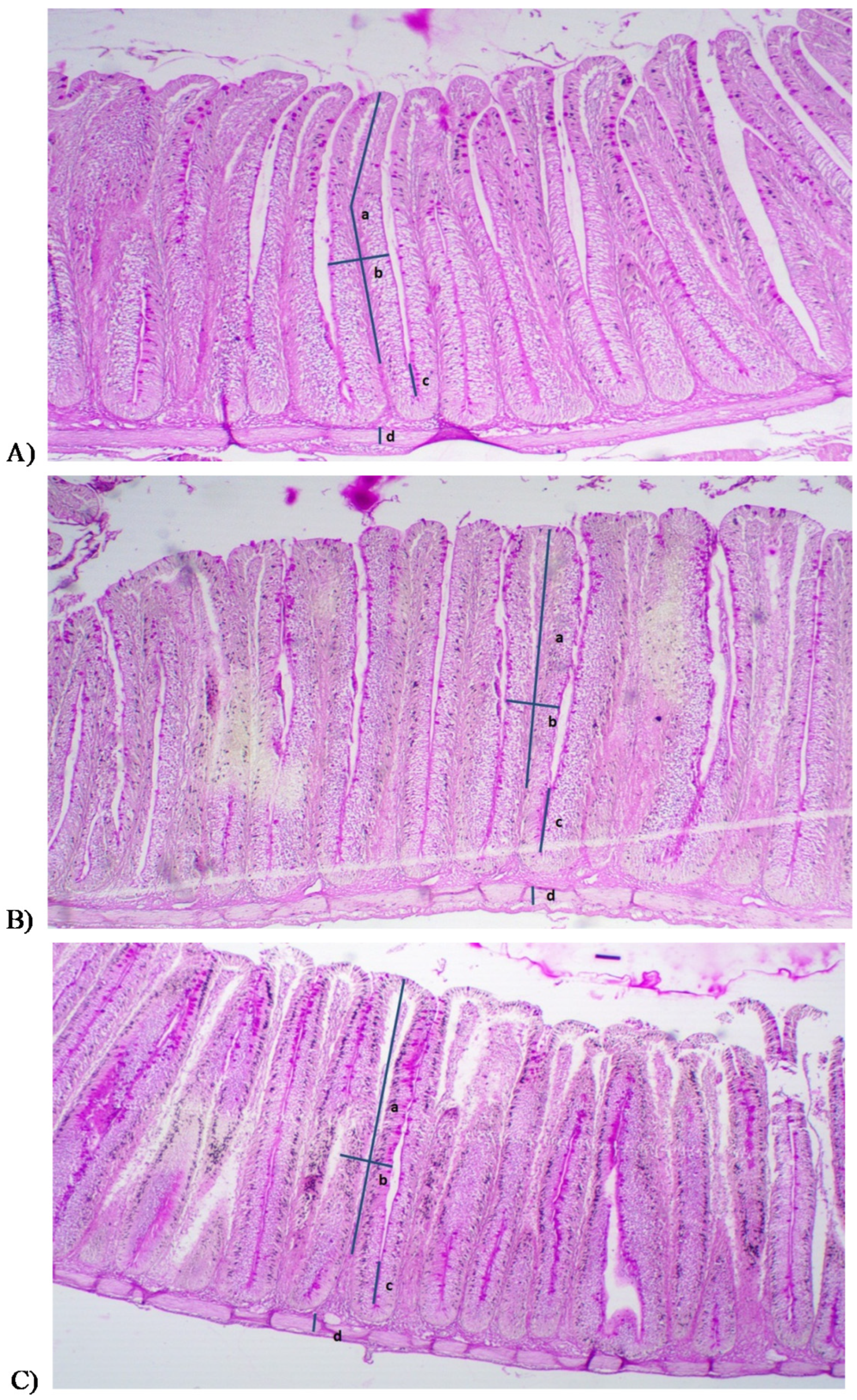 Animals 10 00723 g002 Animals 10 00723 g002