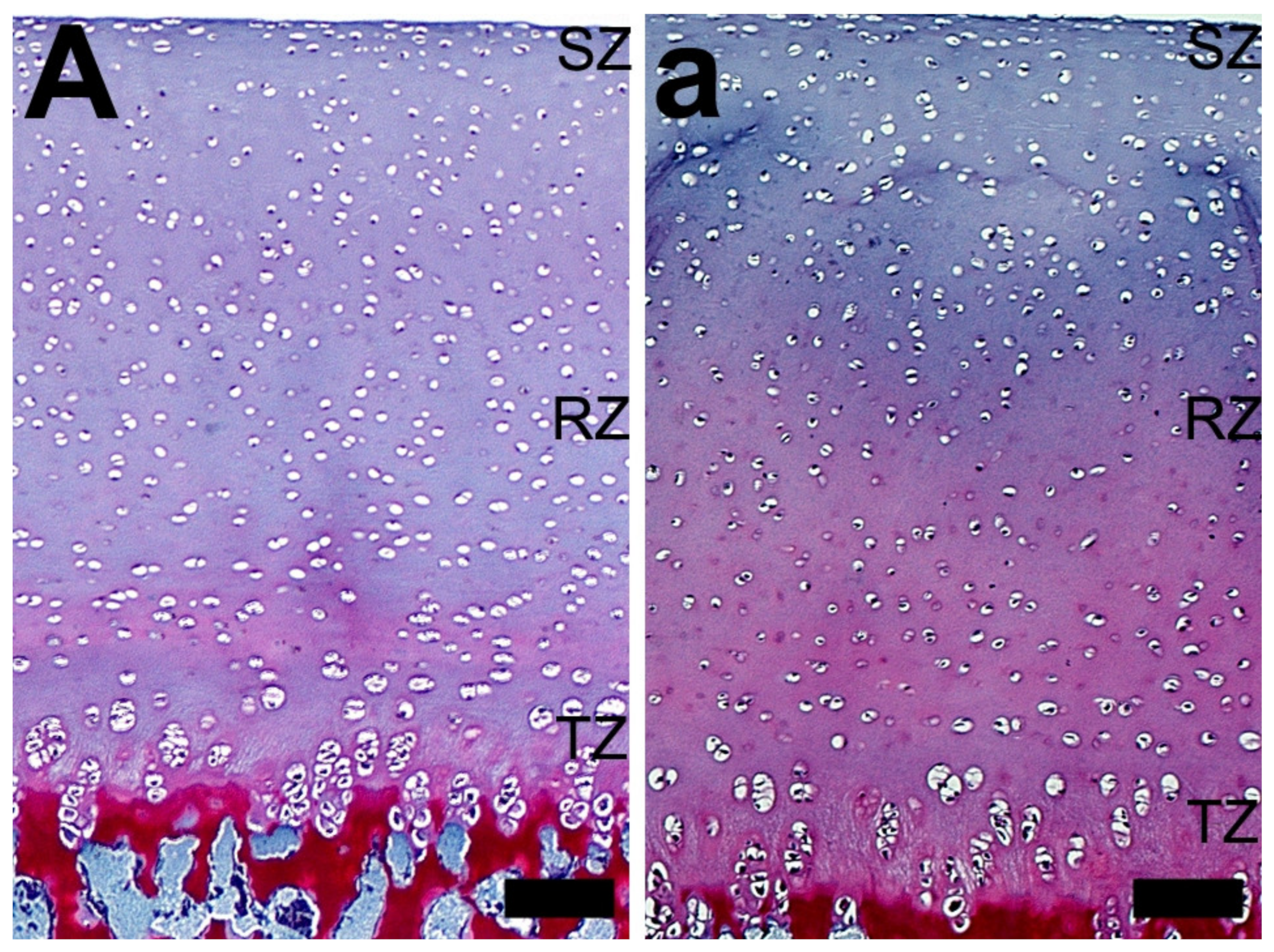 Animals 10 00728 g006 Animals 10 00728 g006