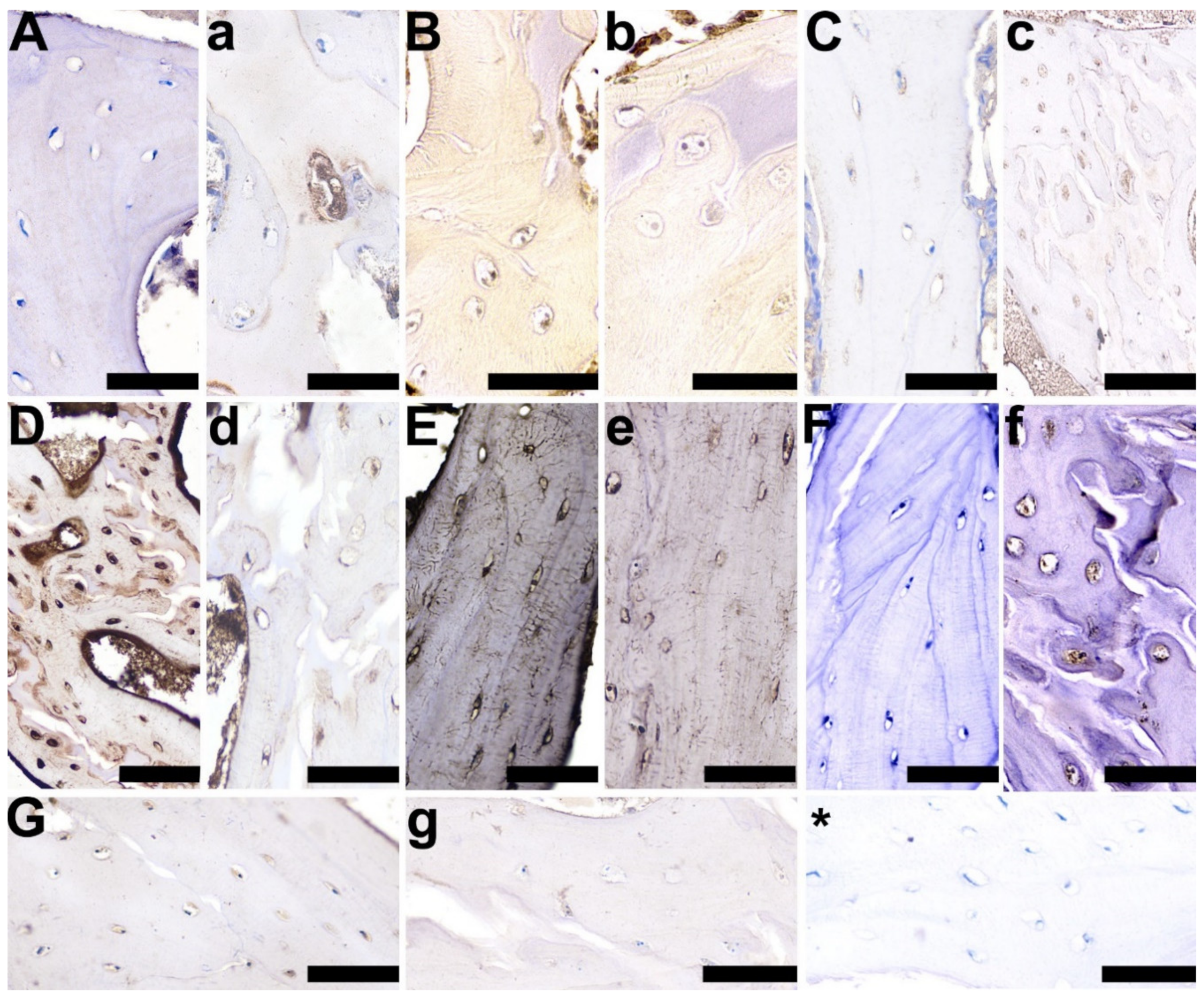 Animals 10 00728 g007 Animals 10 00728 g007