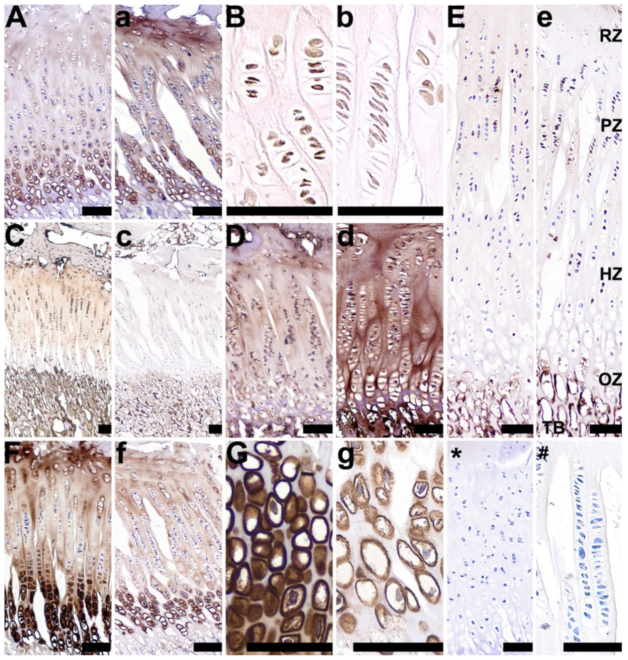 Animals 10 00728 g008 Animals 10 00728 g008