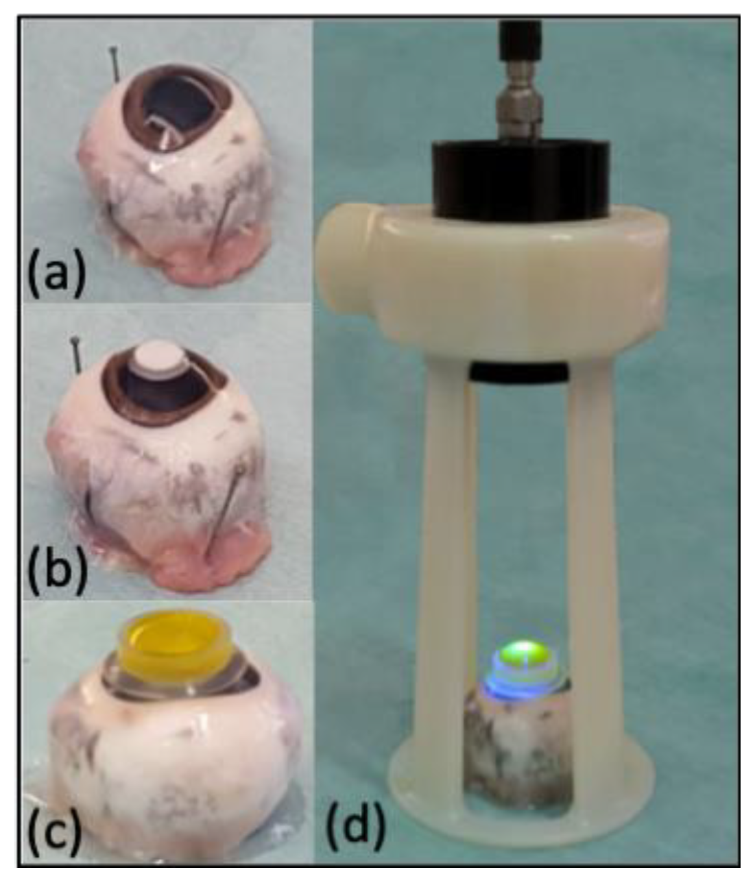 Animals 10 00730 g001 Animals 10 00730 g001