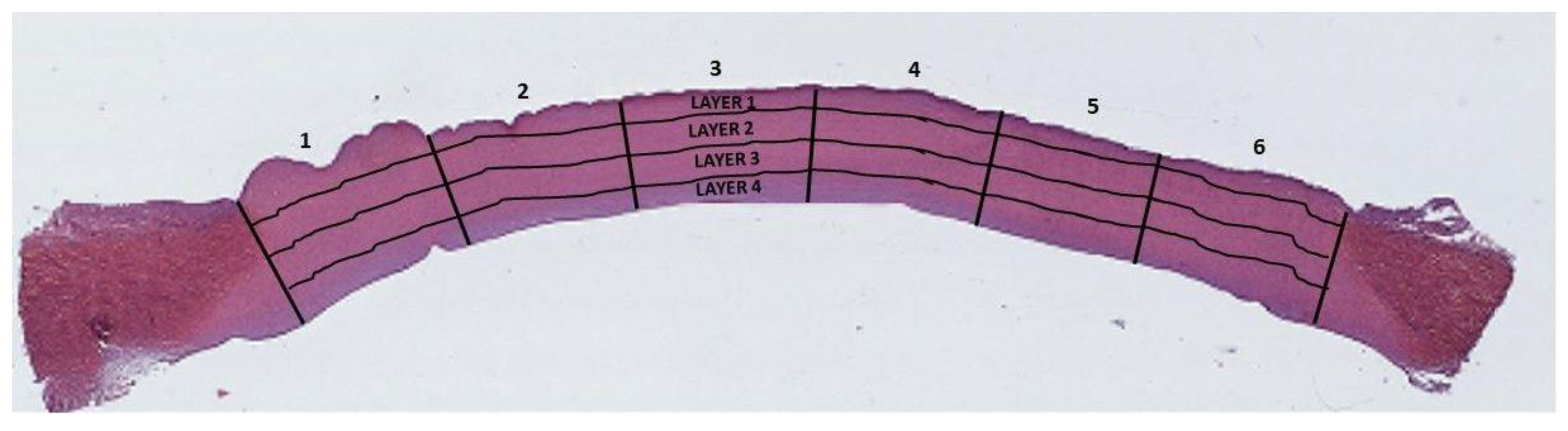 Animals 10 00730 g003 Animals 10 00730 g003