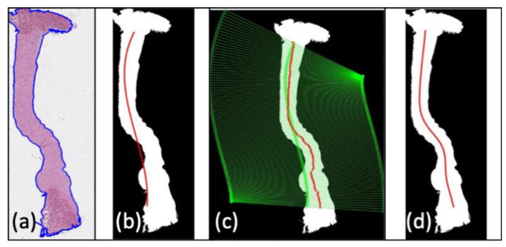 Animals 10 00730 g004 Animals 10 00730 g004