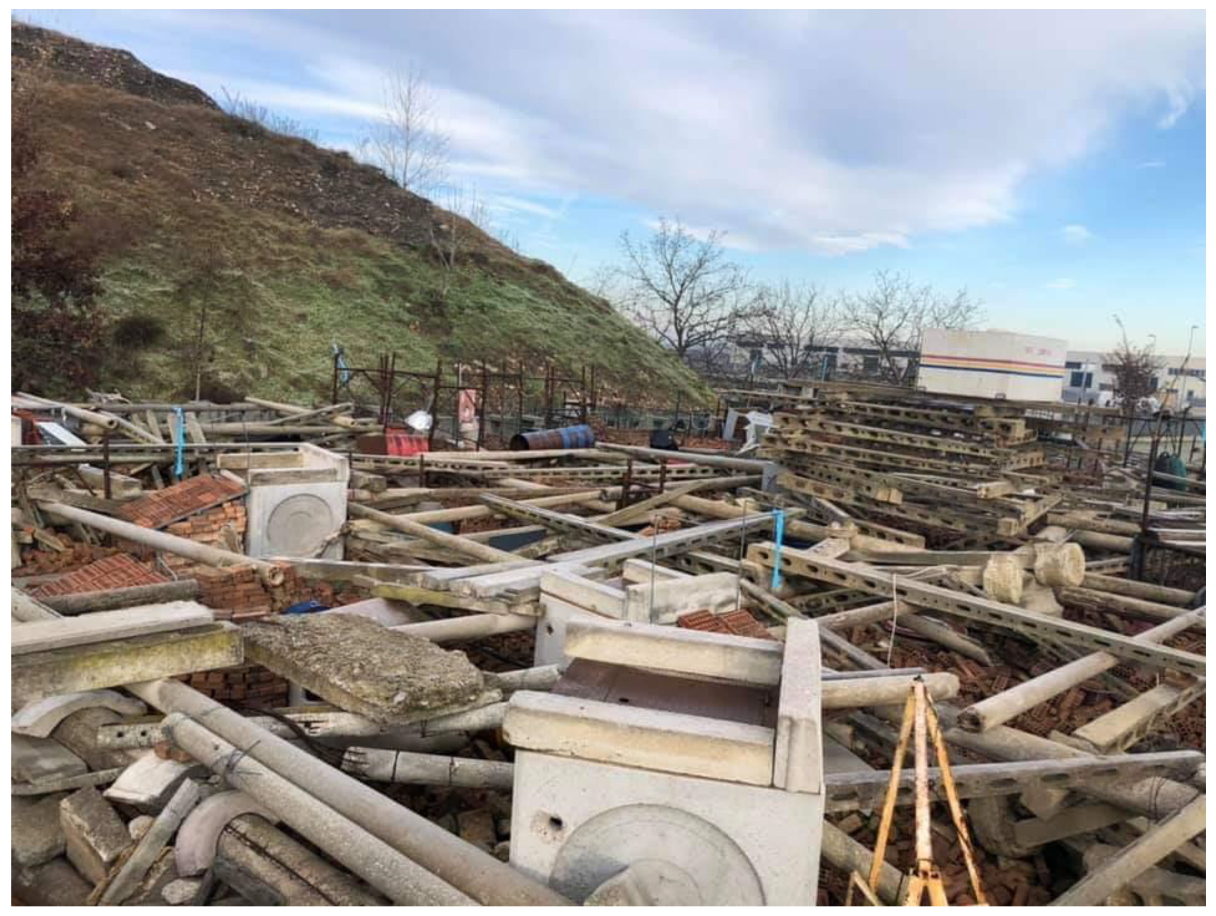 Animals 10 00733 g001