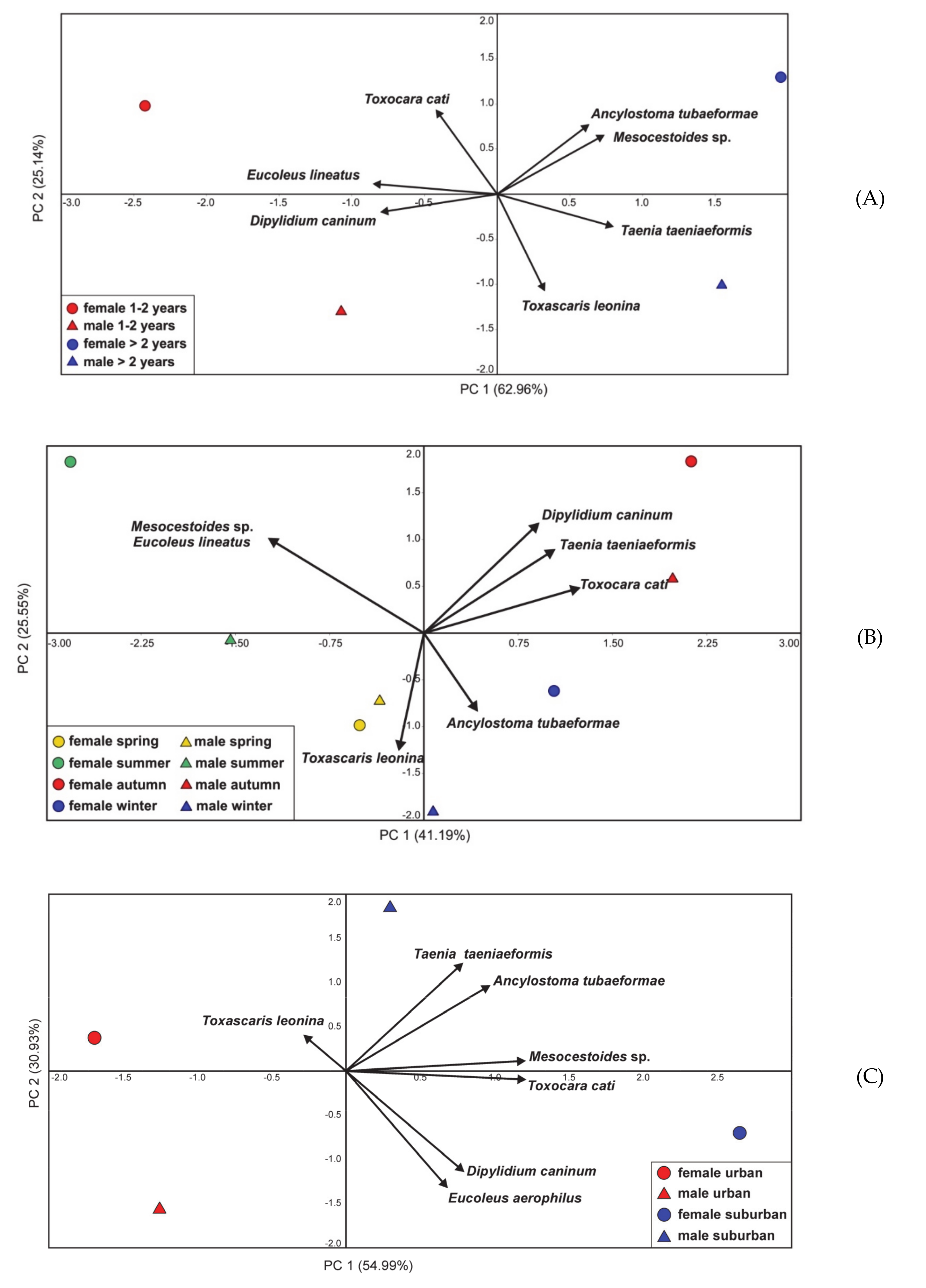 Animals Free Full Text The Prevalence Of Endoparasites Of Free Ranging Cats Felis Catus From Urban Habitats In Southern Poland Html
