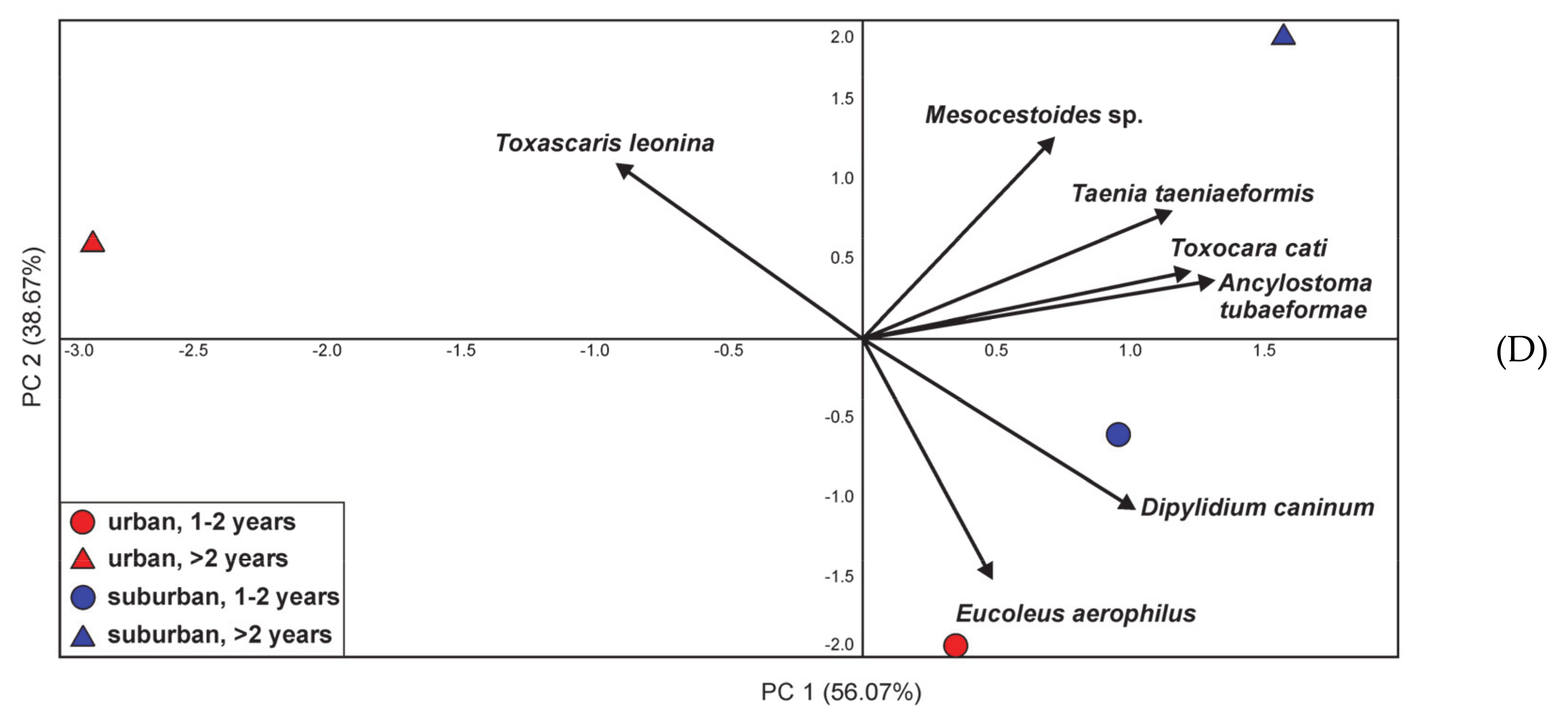 Animals Free Full Text The Prevalence Of Endoparasites Of Free Ranging Cats Felis Catus From Urban Habitats In Southern Poland Html
