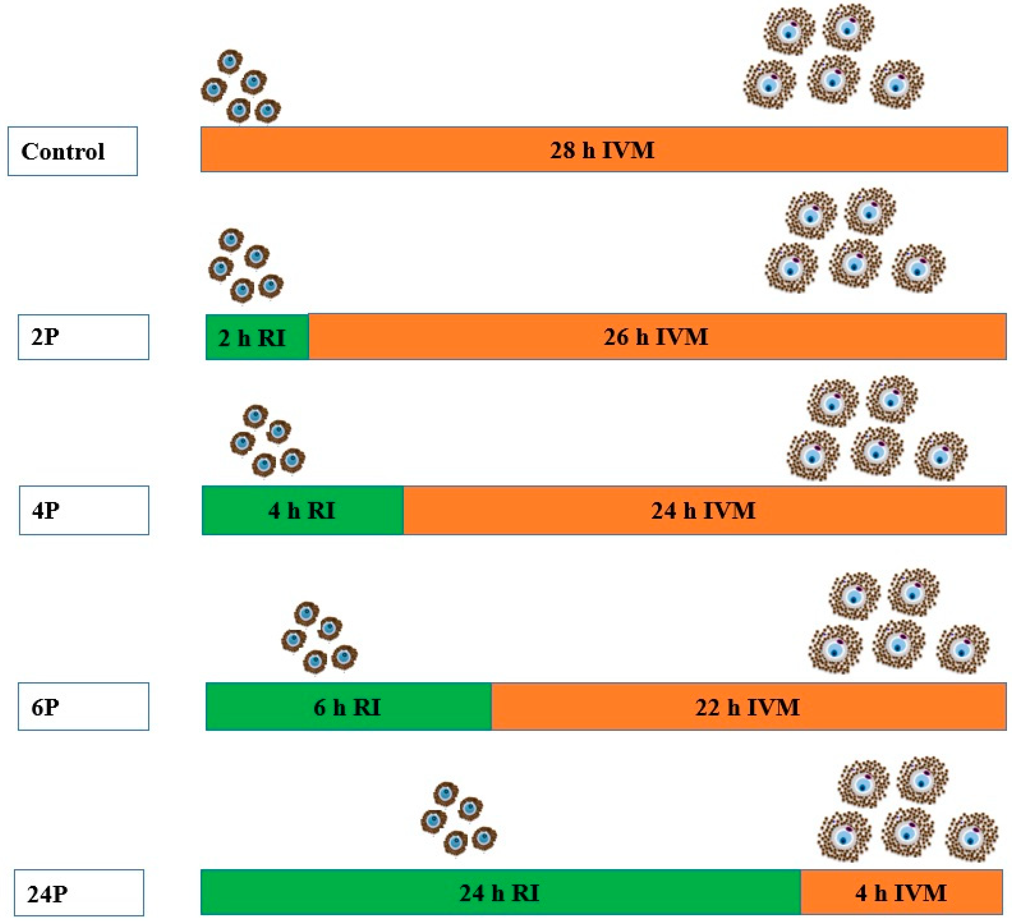 Animals 10 00750 g001 Animals 10 00750 g001