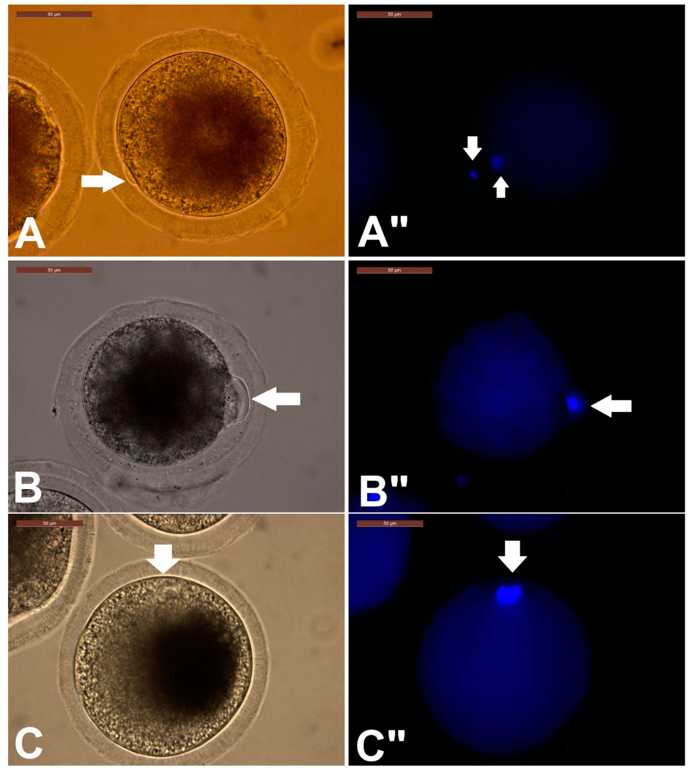 Animals 10 00750 g003 Animals 10 00750 g003