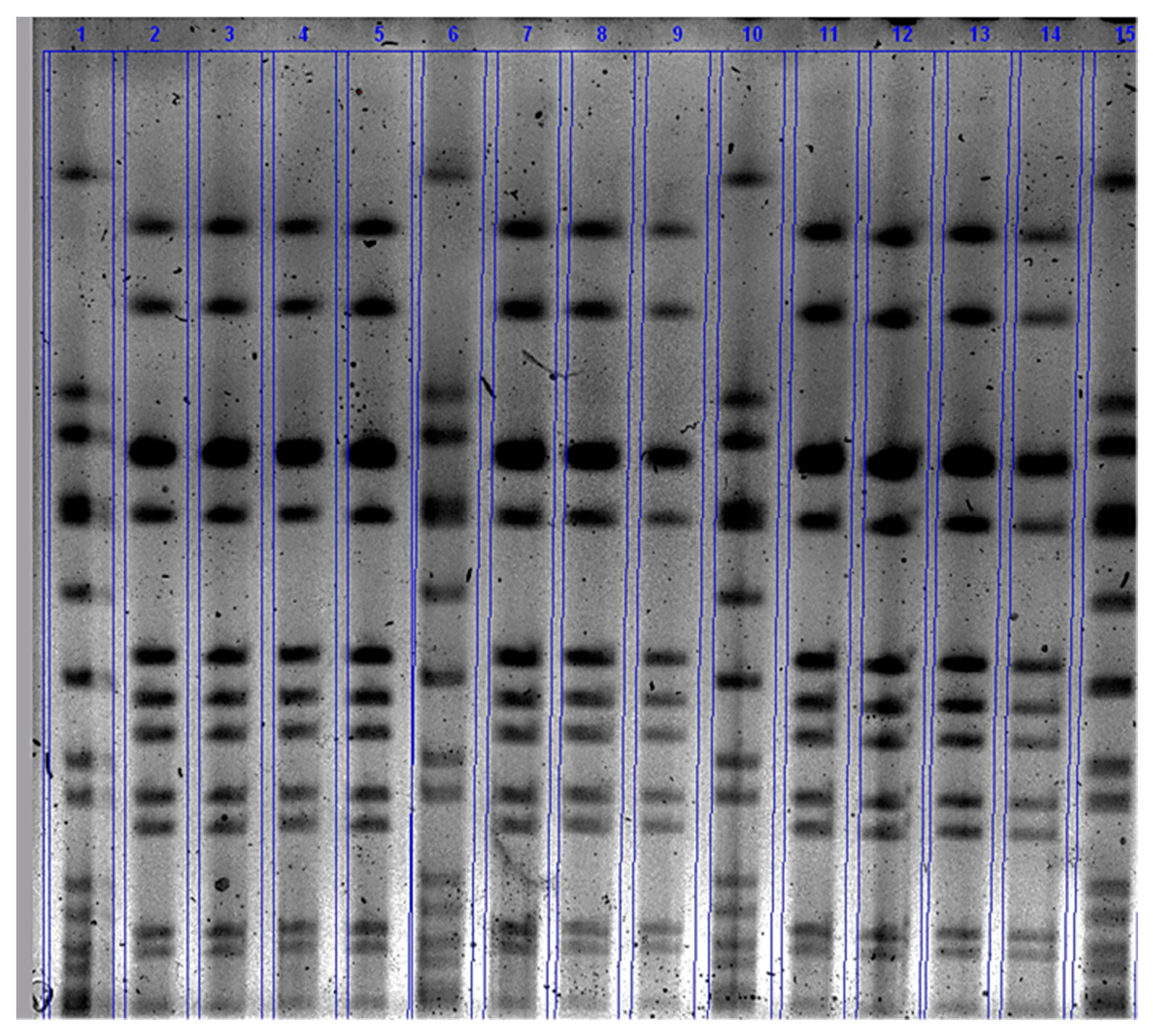 Animals 10 00751 g004 Animals 10 00751 g004