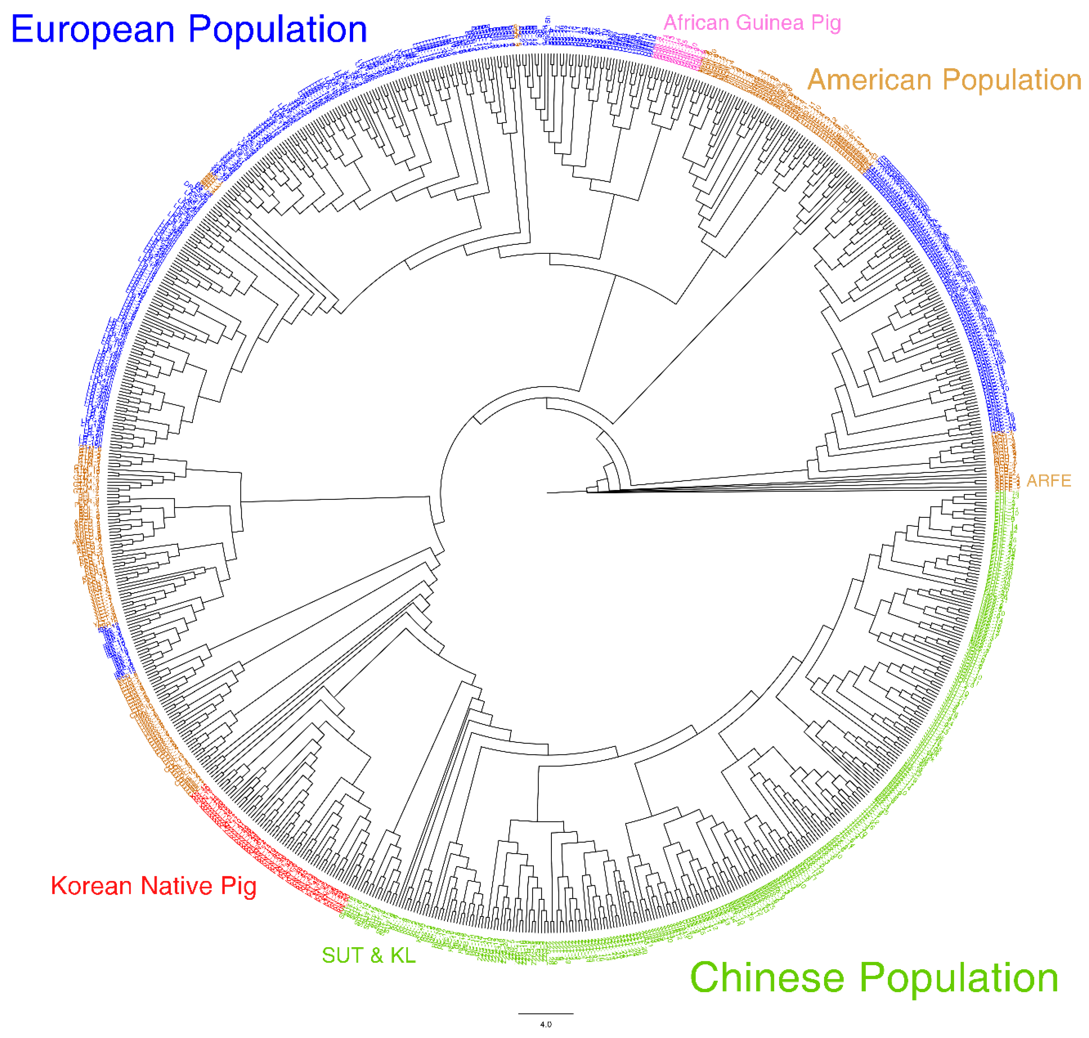 Animals 10 00760 g003