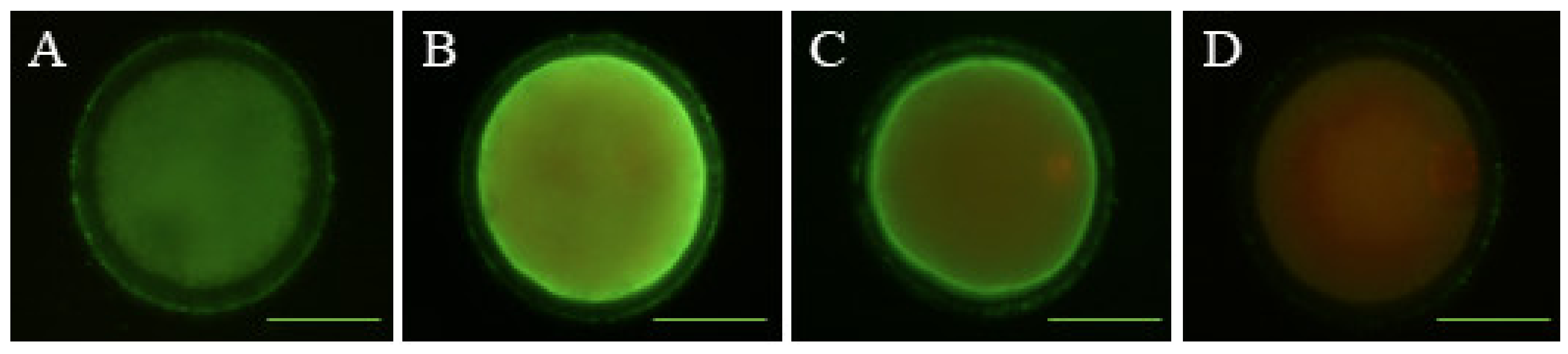 Animals 10 00763 g001