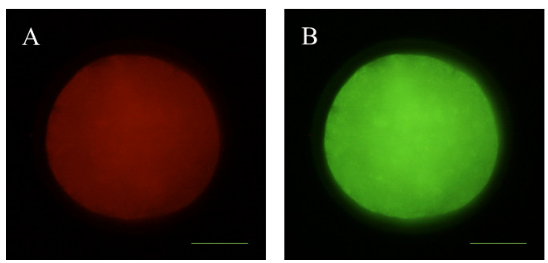 Animals 10 00763 g004