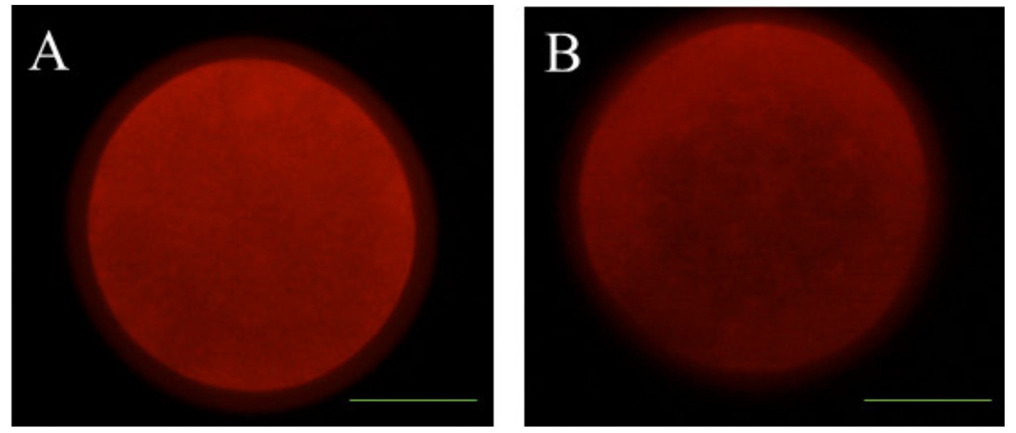 Animals 10 00763 g005