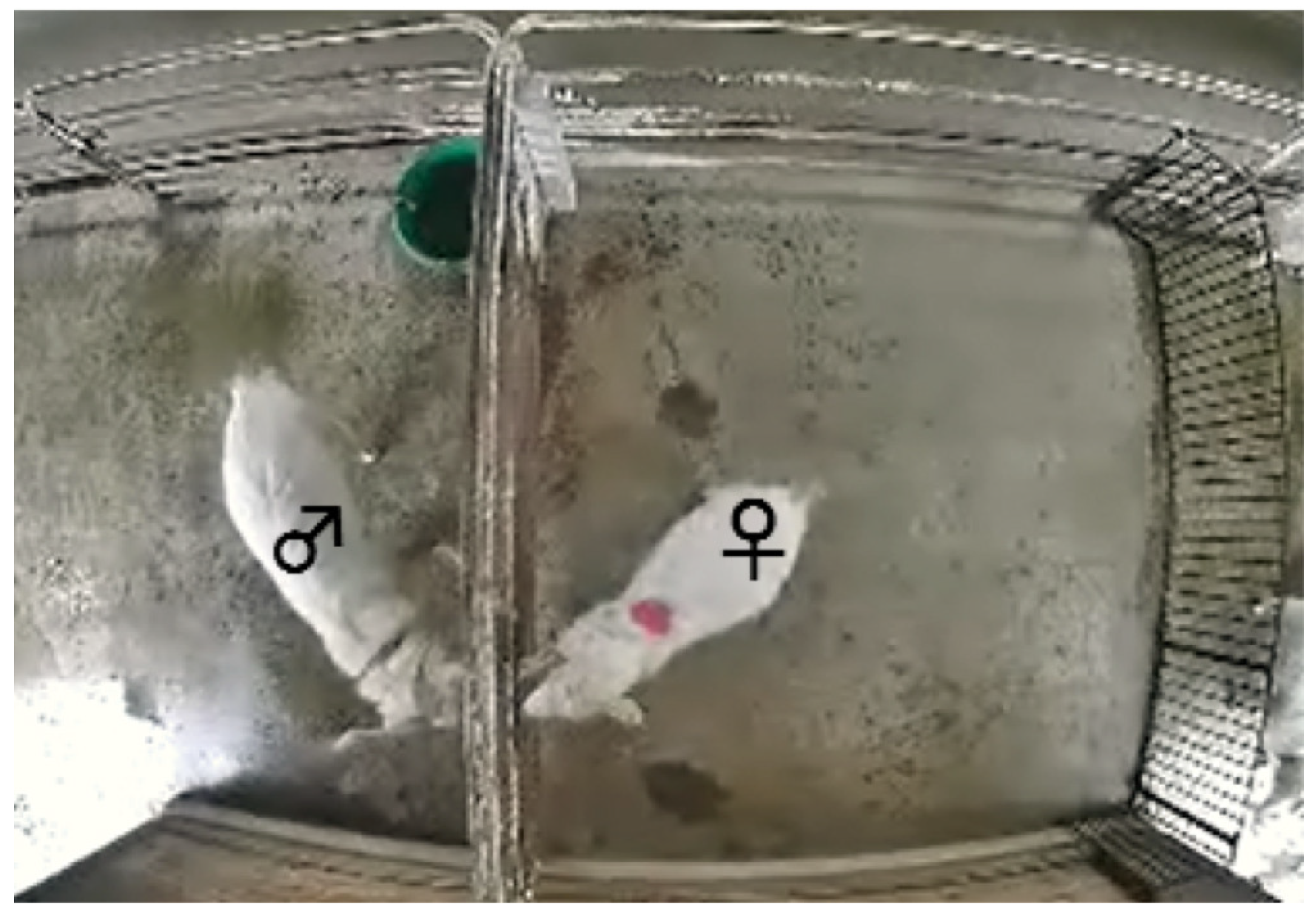 Animals 10 00771 g001