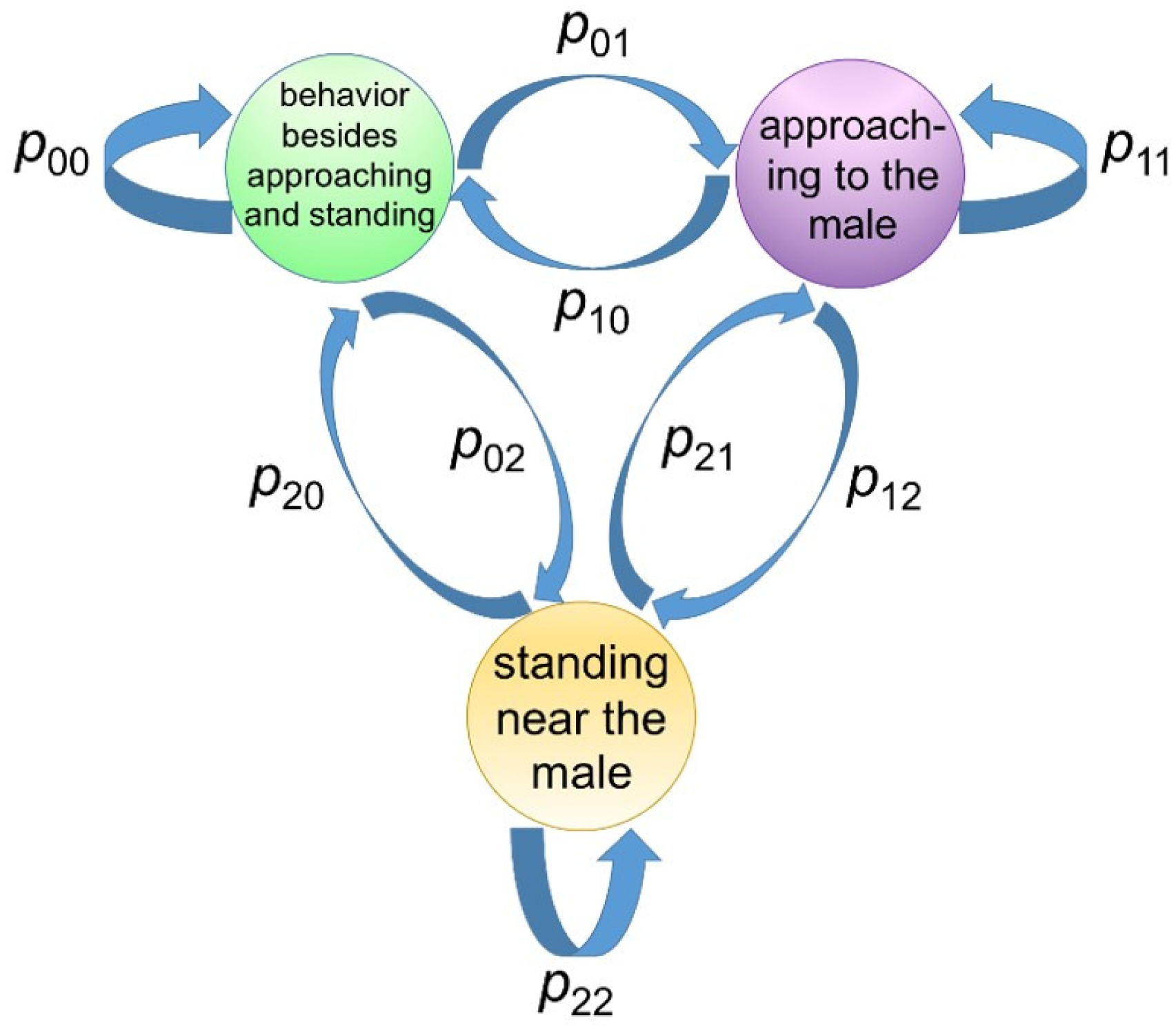 Animals 10 00771 g003