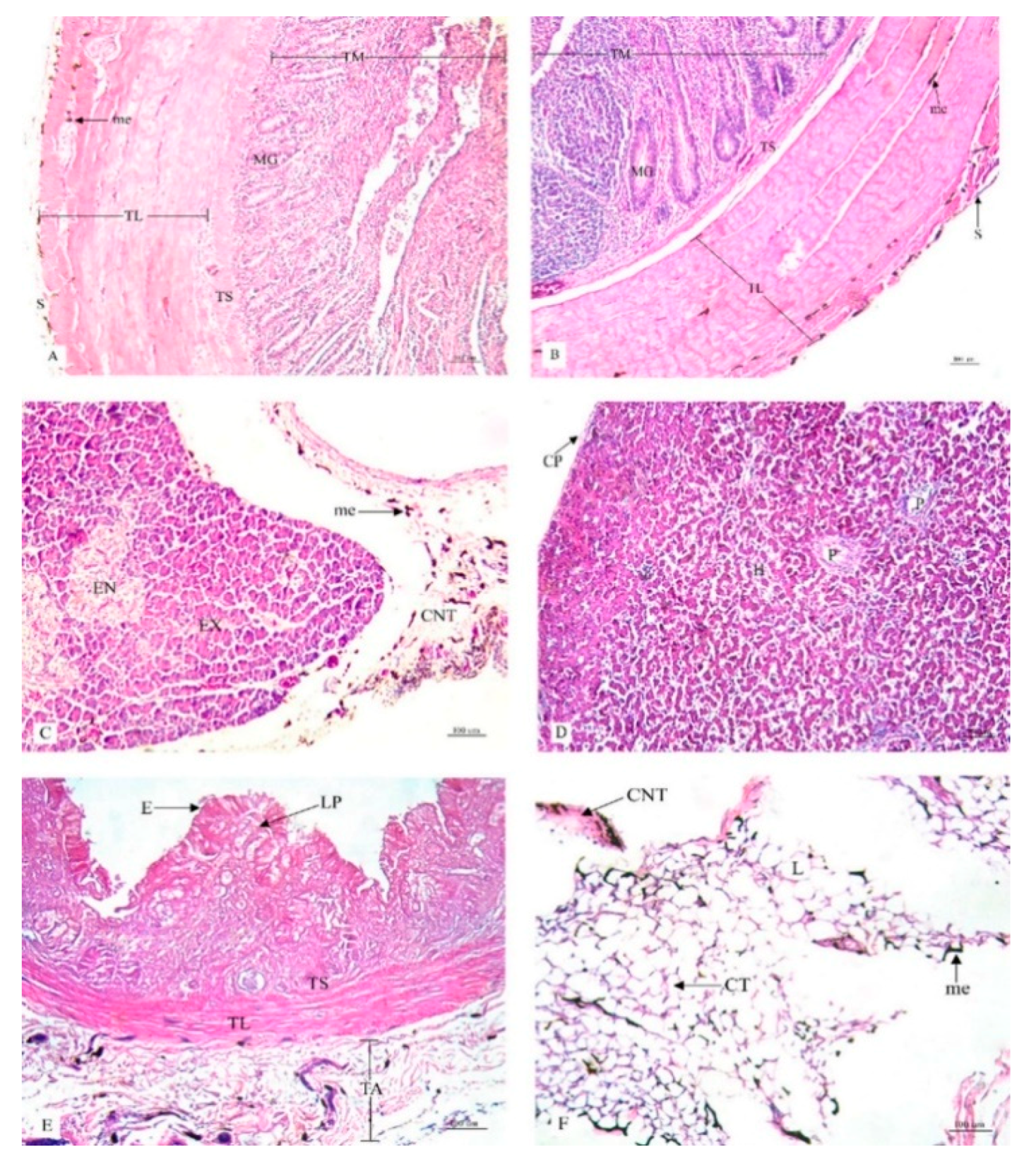 Animals 10 00777 g005 Animals 10 00777 g005