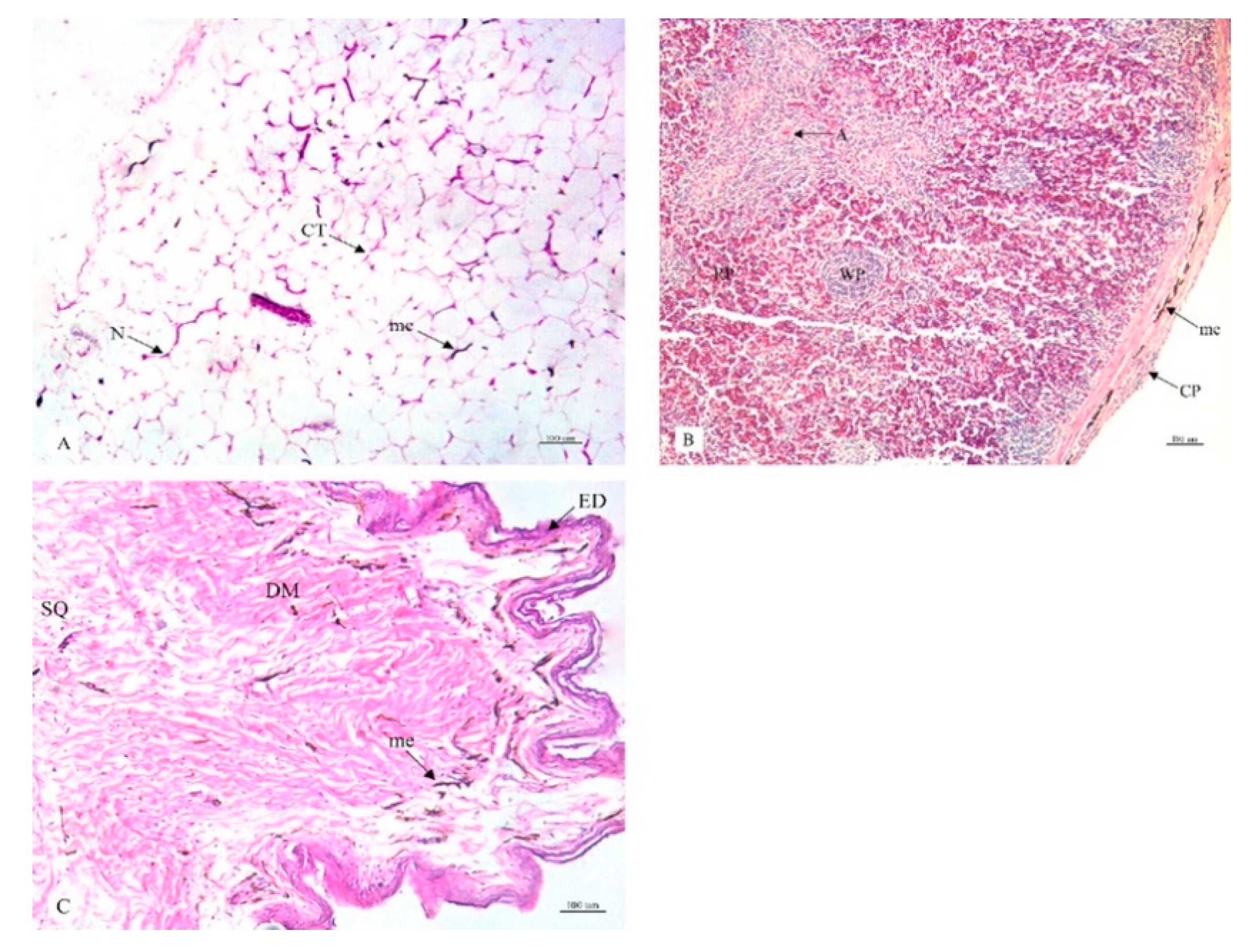 Animals 10 00777 g006 Animals 10 00777 g006