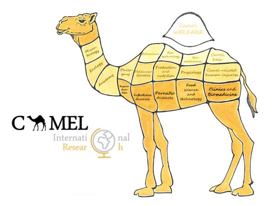 Animals Free Full Text Effect Of Research Impact On Emerging Camel Husbandry Welfare And Social Related Awareness Html