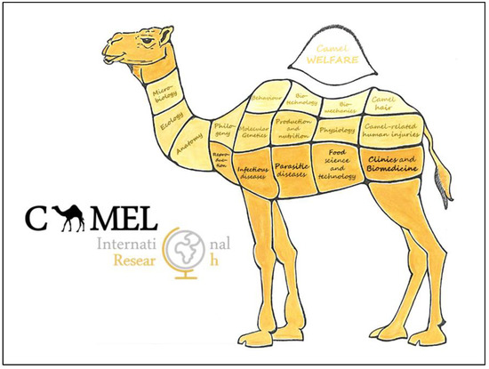 CAMELS Rating System: Meaning, Background, Components