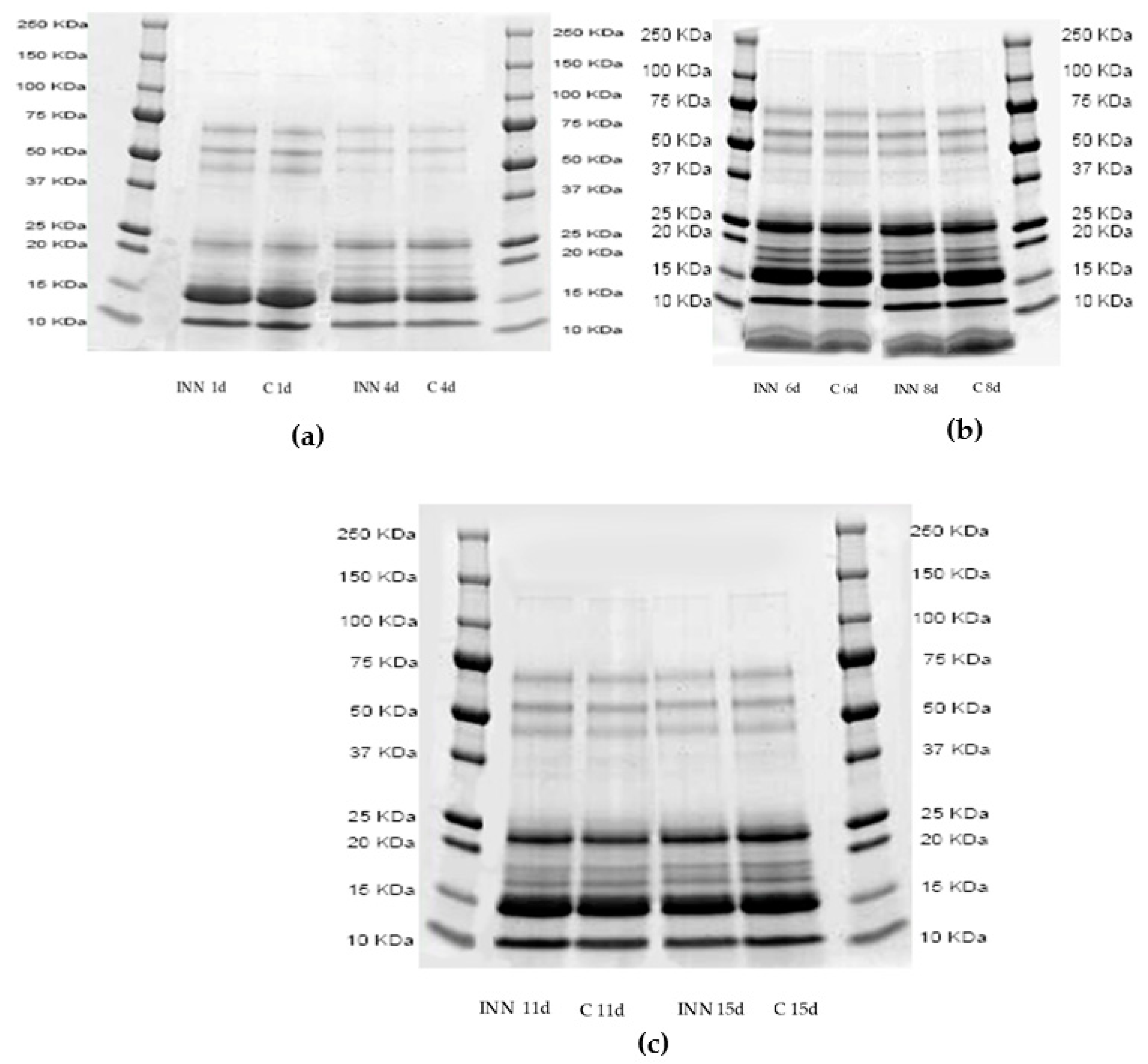 Animals 10 00782 g001 Animals 10 00782 g001