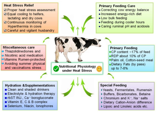 Animals | Free Full-Text | Nutritional Physiology and Biochemistry of Dairy Cattle under the Influence of Heat Stress: Consequences and Opportunities Animals | Free Full-Text | Nutritional Physiology and Biochemistry of Dairy Cattle under the Influence of Heat Stress: Consequences and Opportunities