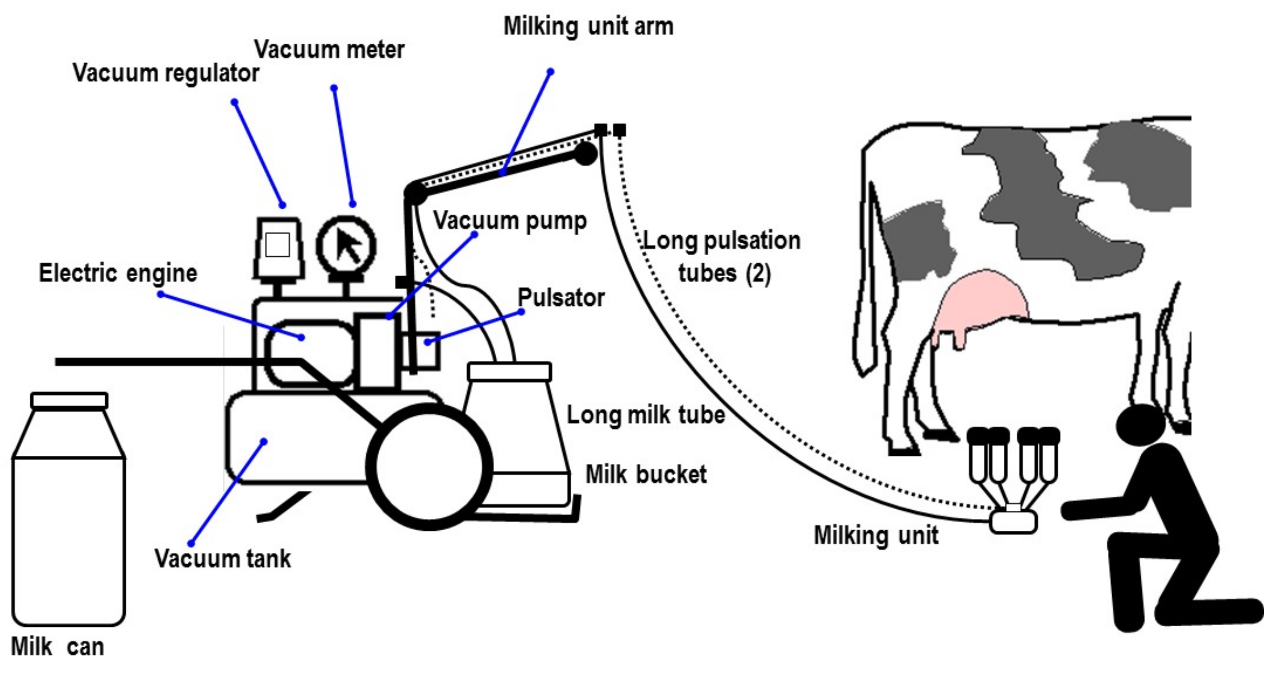 Milking table 2. Милкинг. Best Cow масло. Milking Machine College gay рисунок. Java milking.