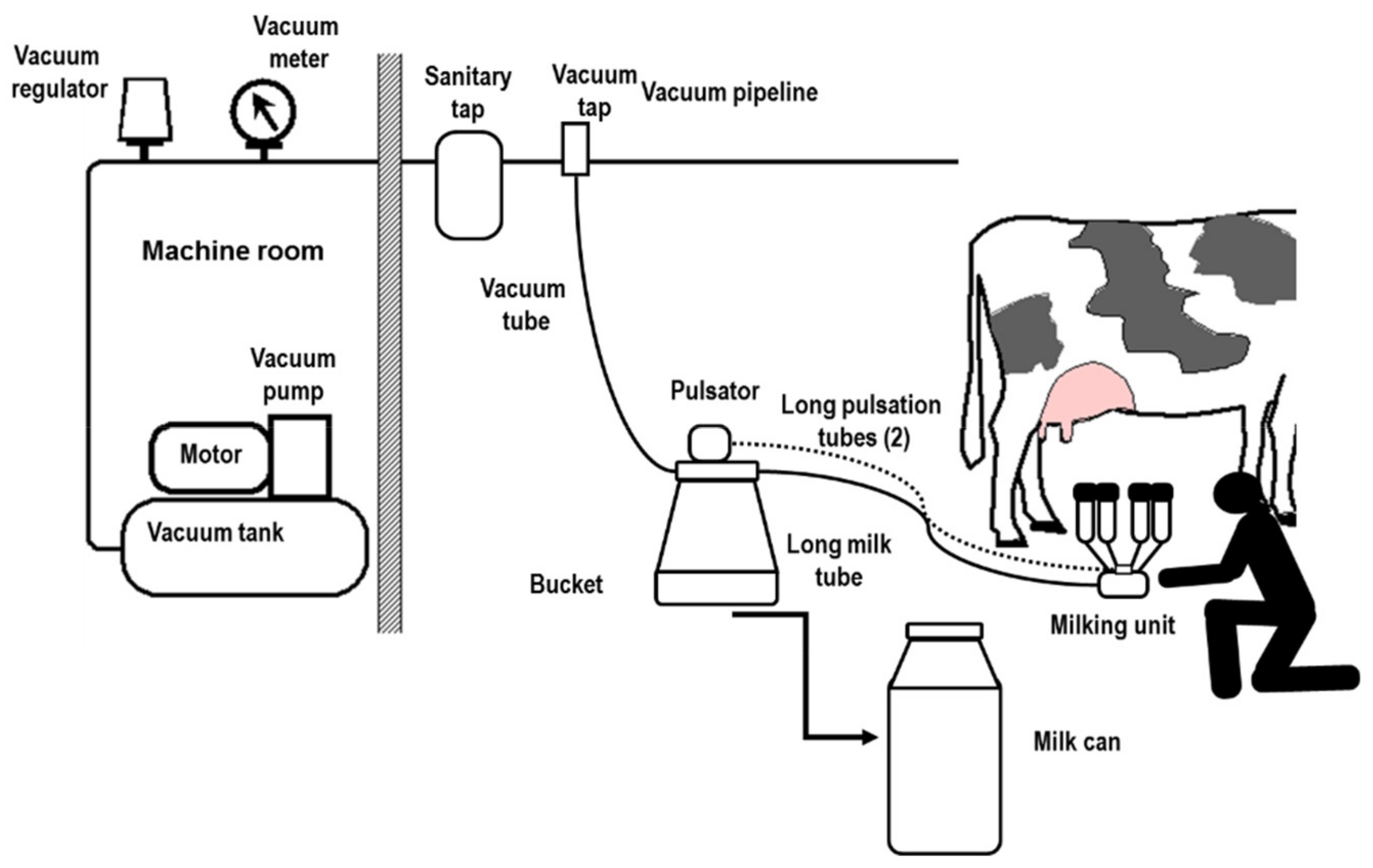 European Dairy Giant Implements Advanced Milking System