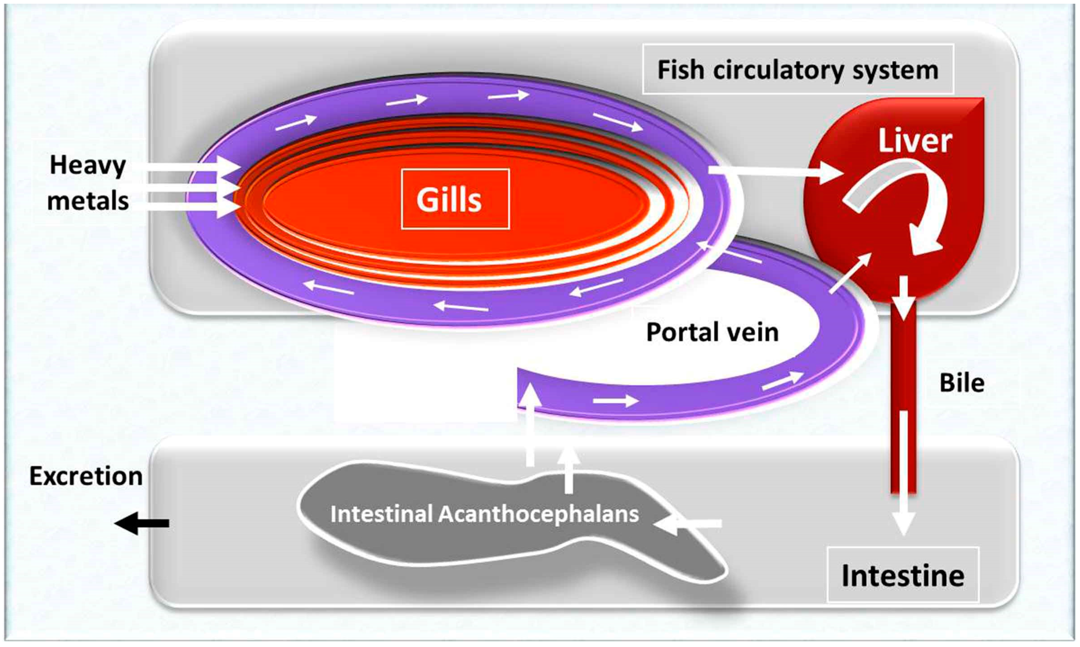 Animals 10 00811 g003 Animals 10 00811 g003