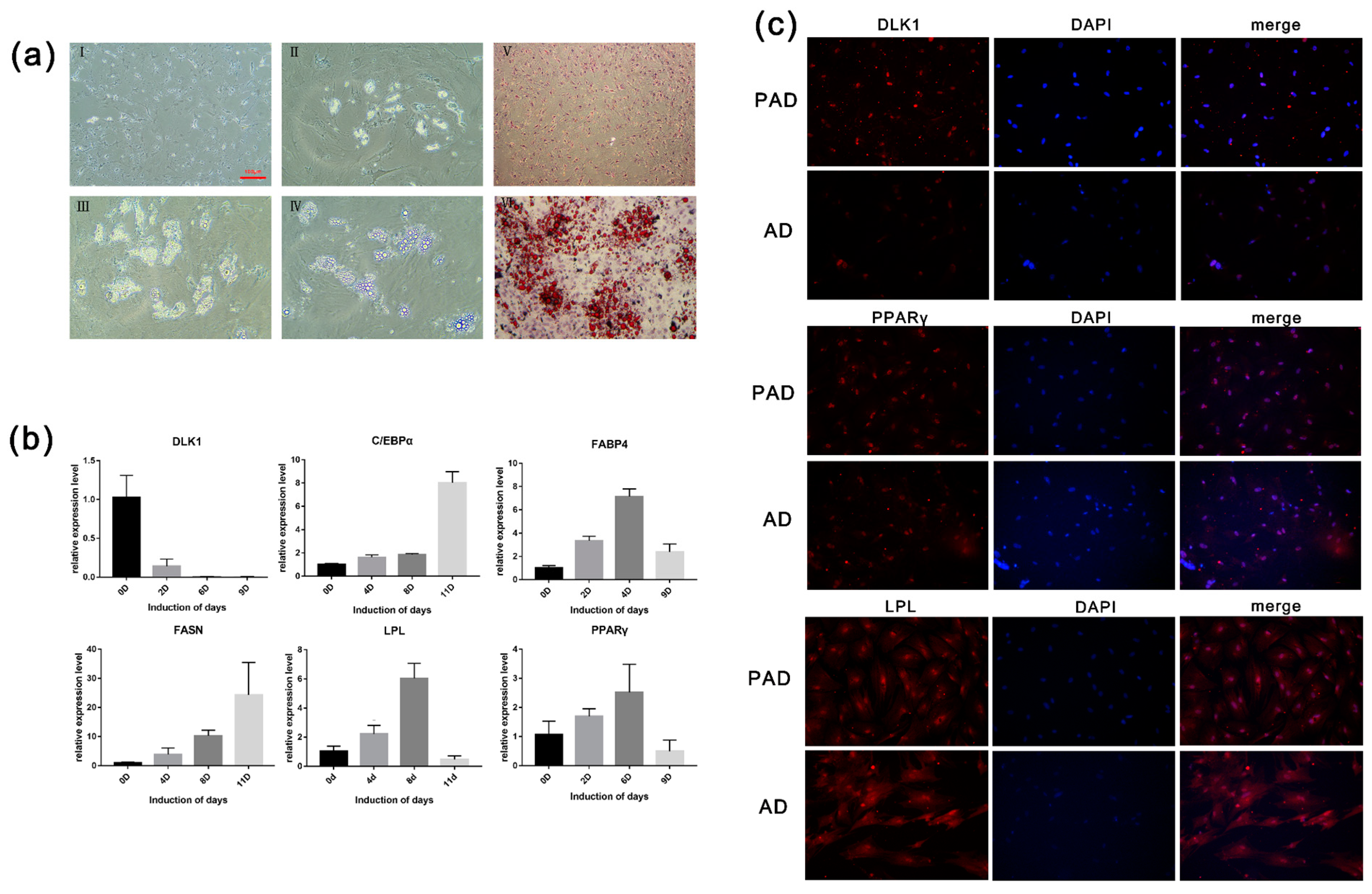 Animals 10 00818 g002