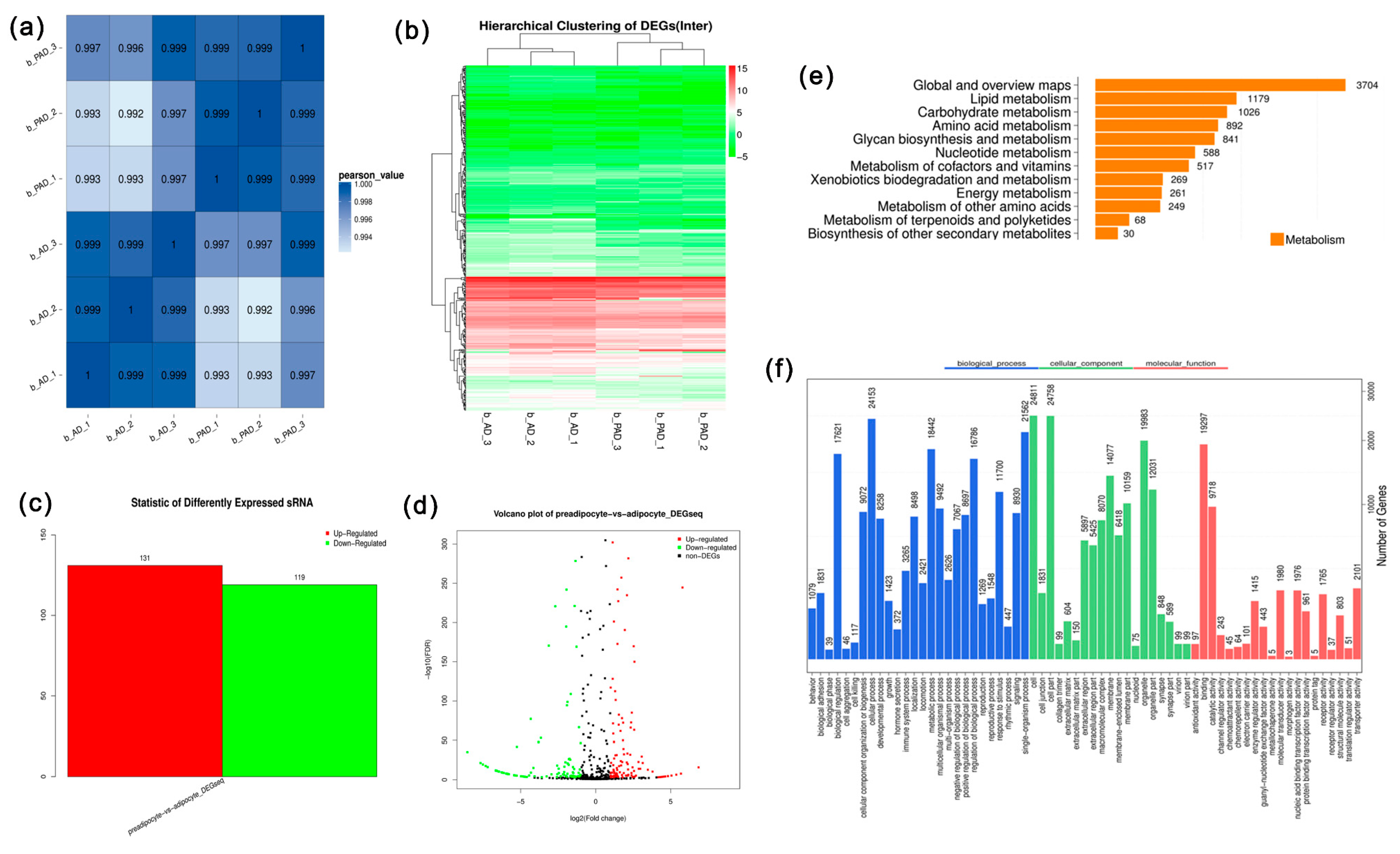 Animals 10 00818 g003