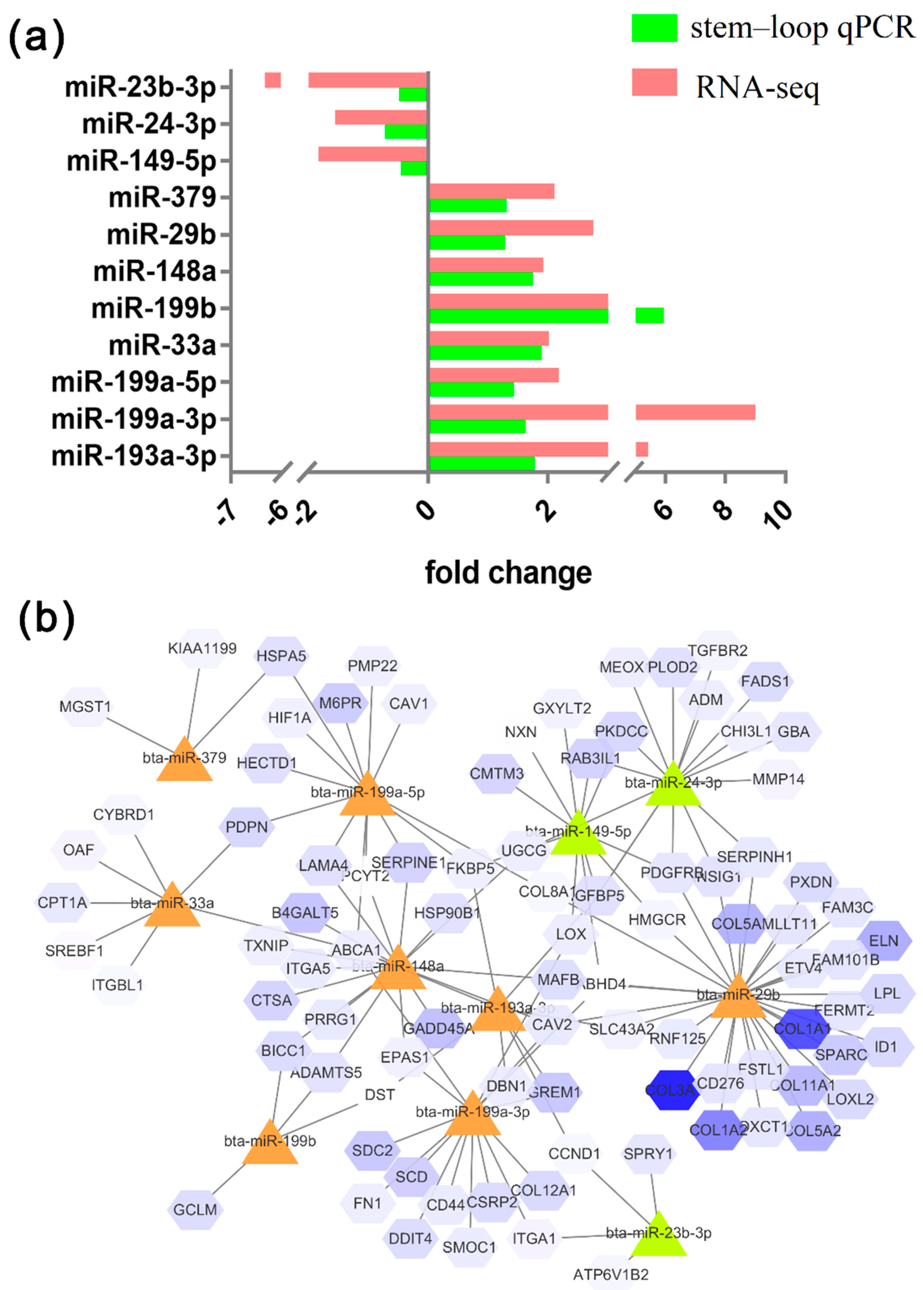 Animals 10 00818 g004