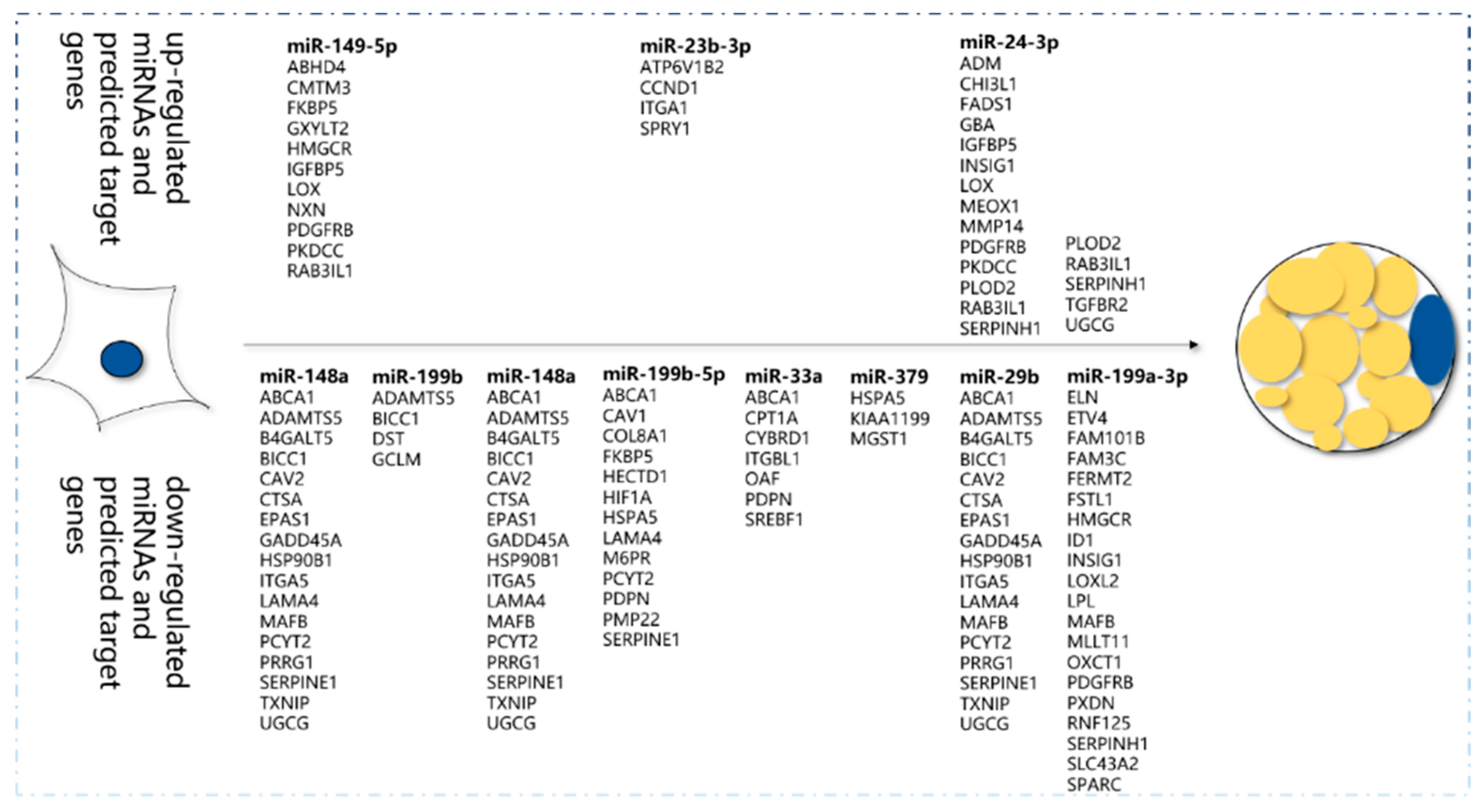 Animals 10 00818 g005