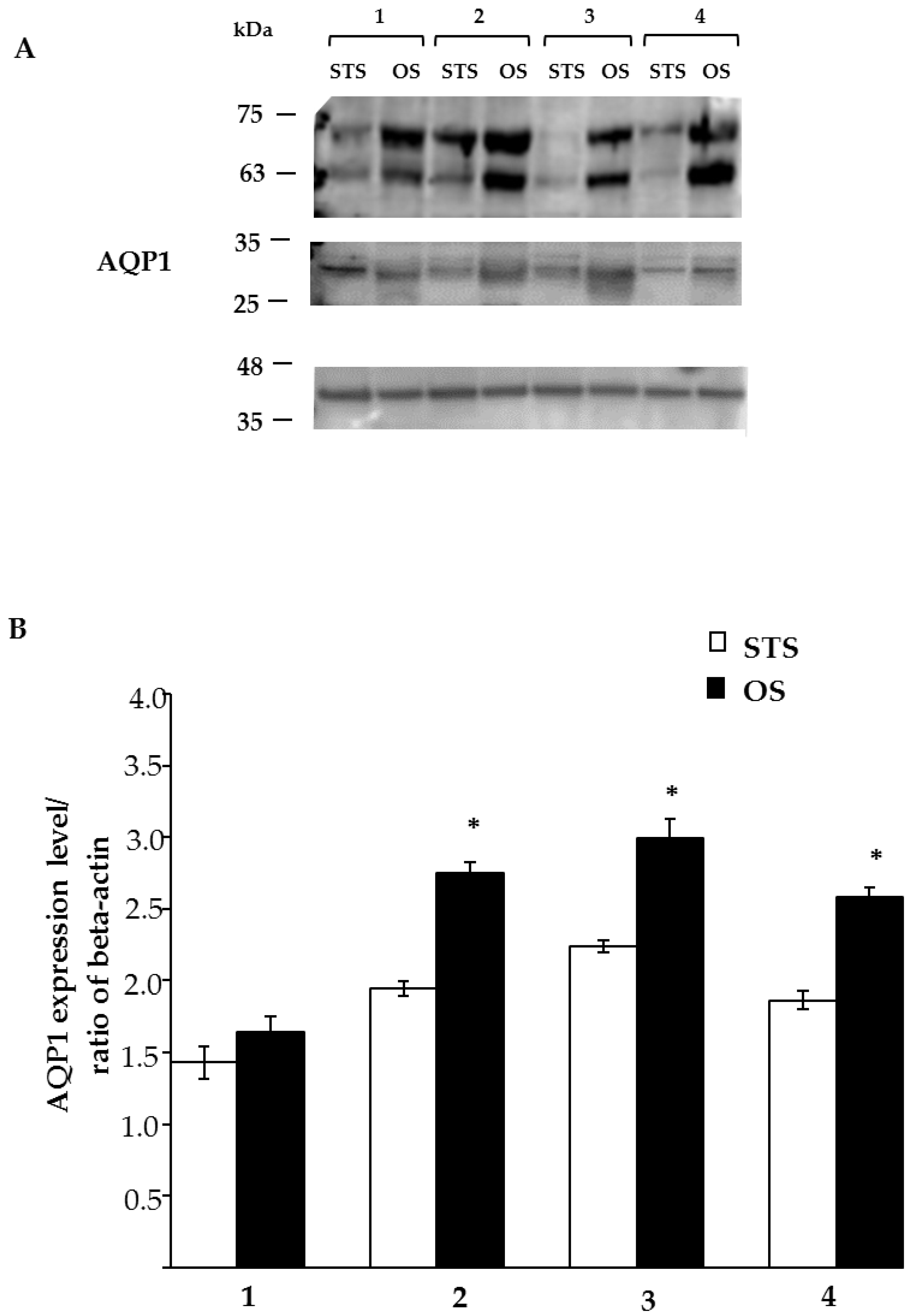 Animals 10 00820 g006 Animals 10 00820 g006