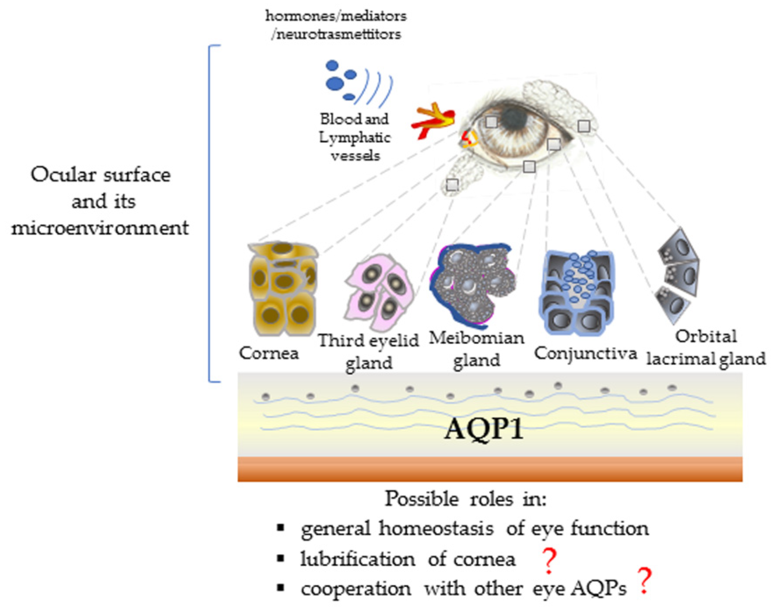 Animals 10 00820 g007 Animals 10 00820 g007