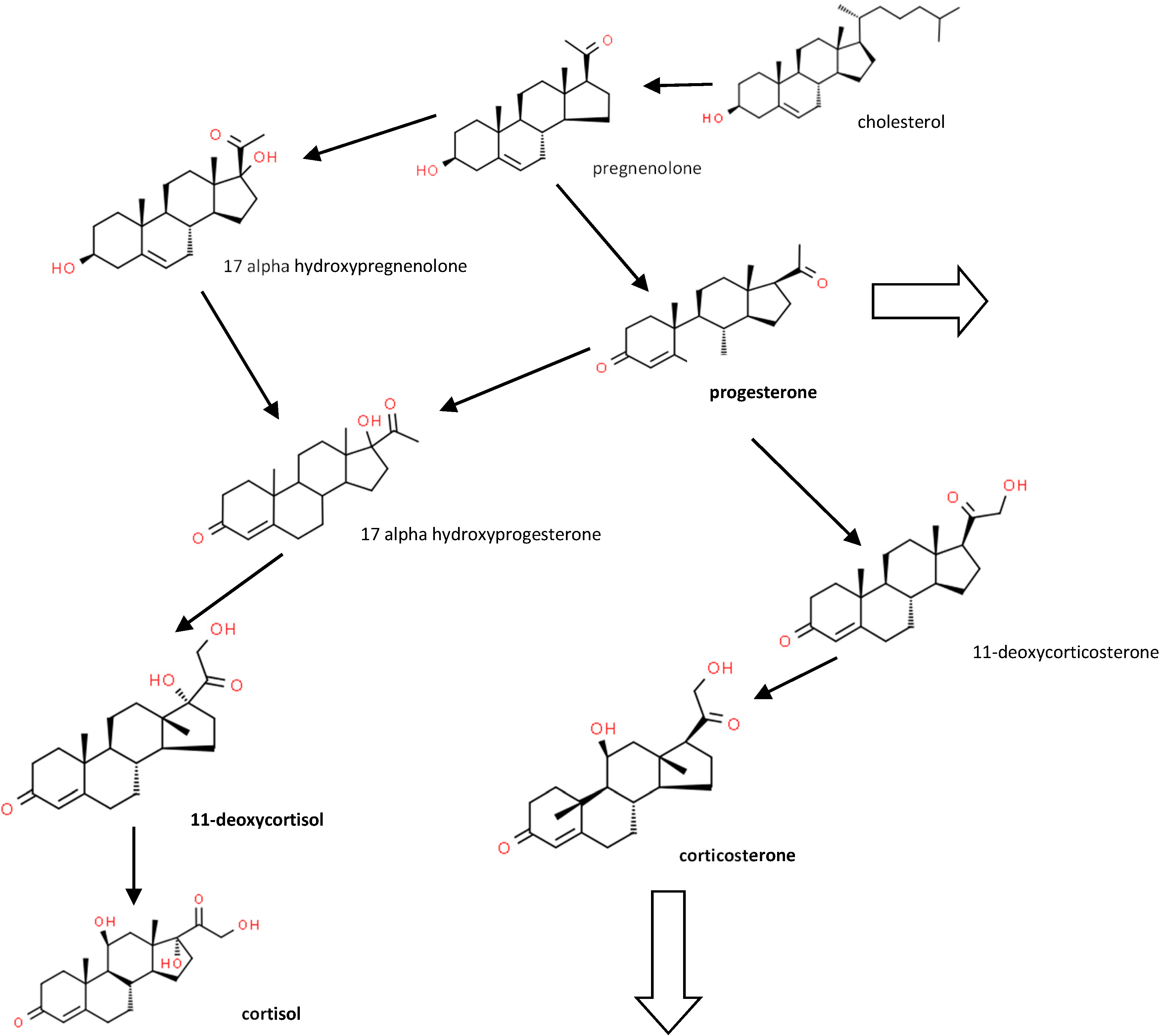 Animals 10 00821 g001 Animals 10 00821 g001