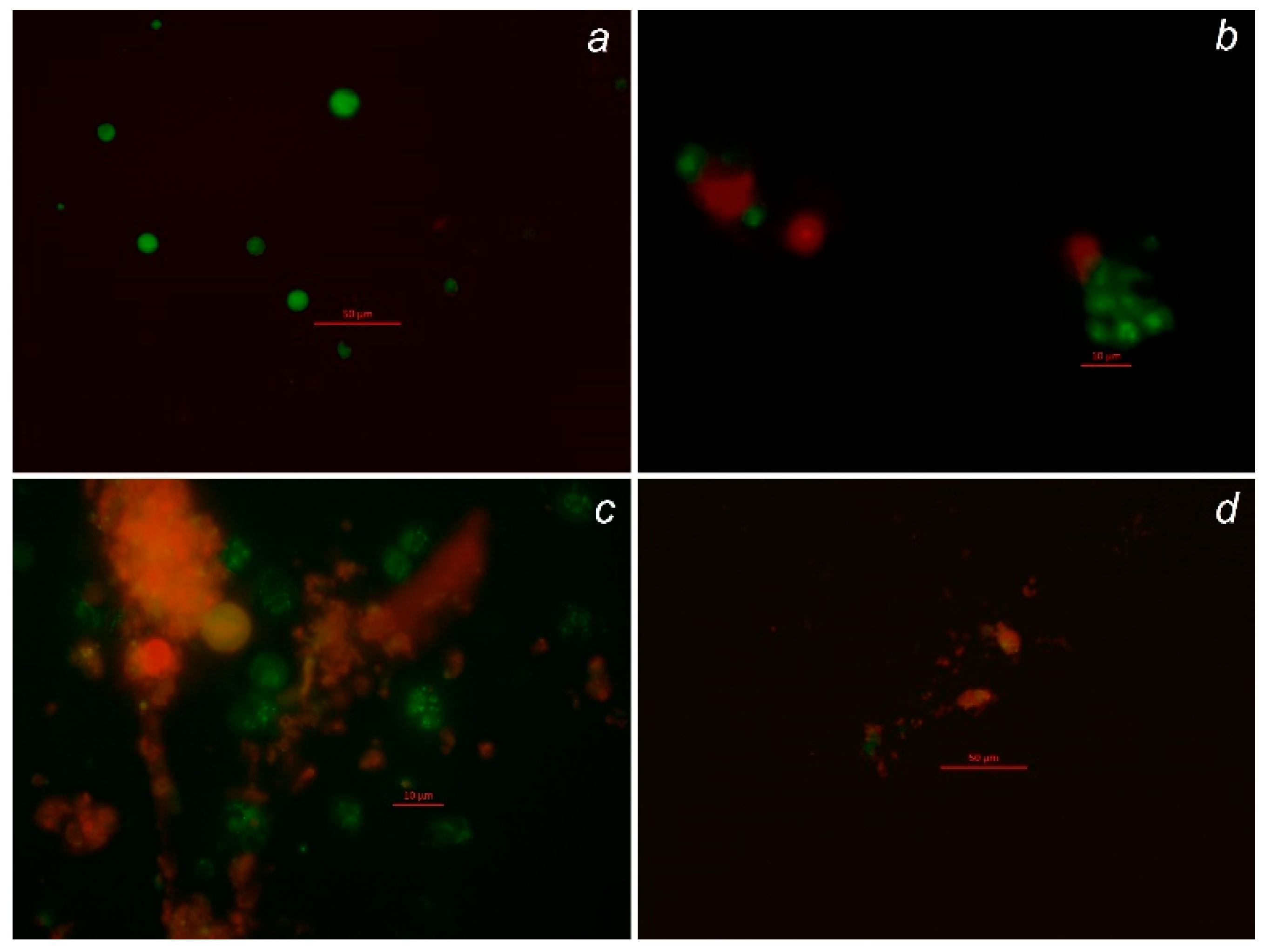 Animals 10 00827 g0a1 Animals 10 00827 g0a1