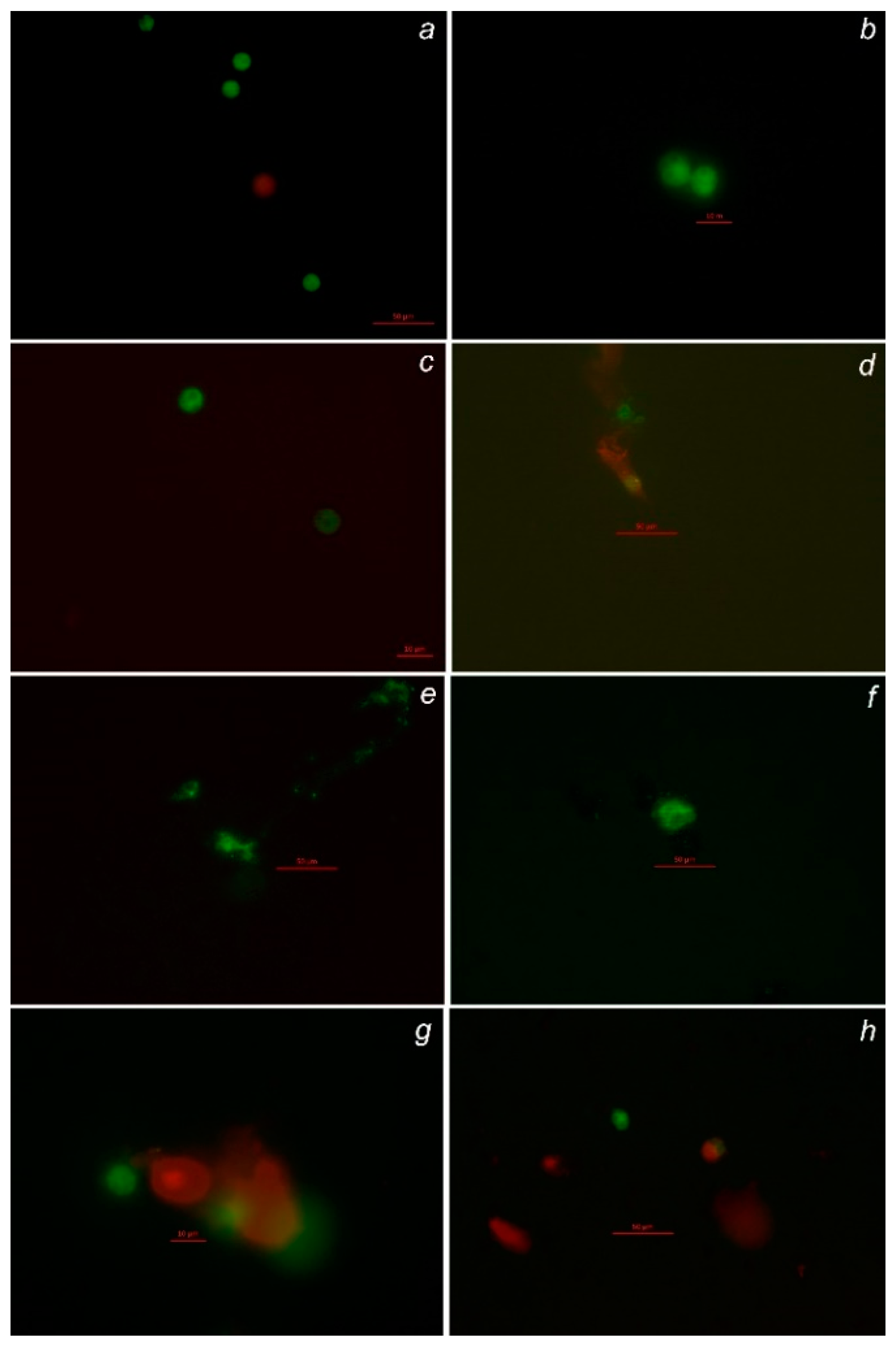 Animals 10 00827 g0a2 Animals 10 00827 g0a2