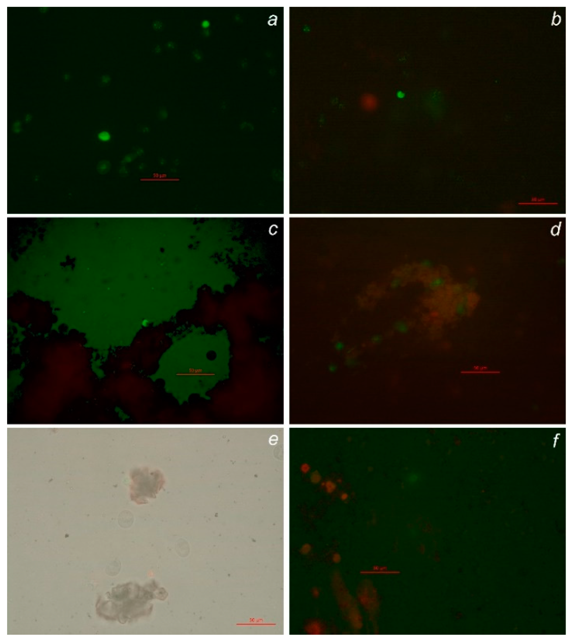 Animals 10 00827 g0a3 Animals 10 00827 g0a3