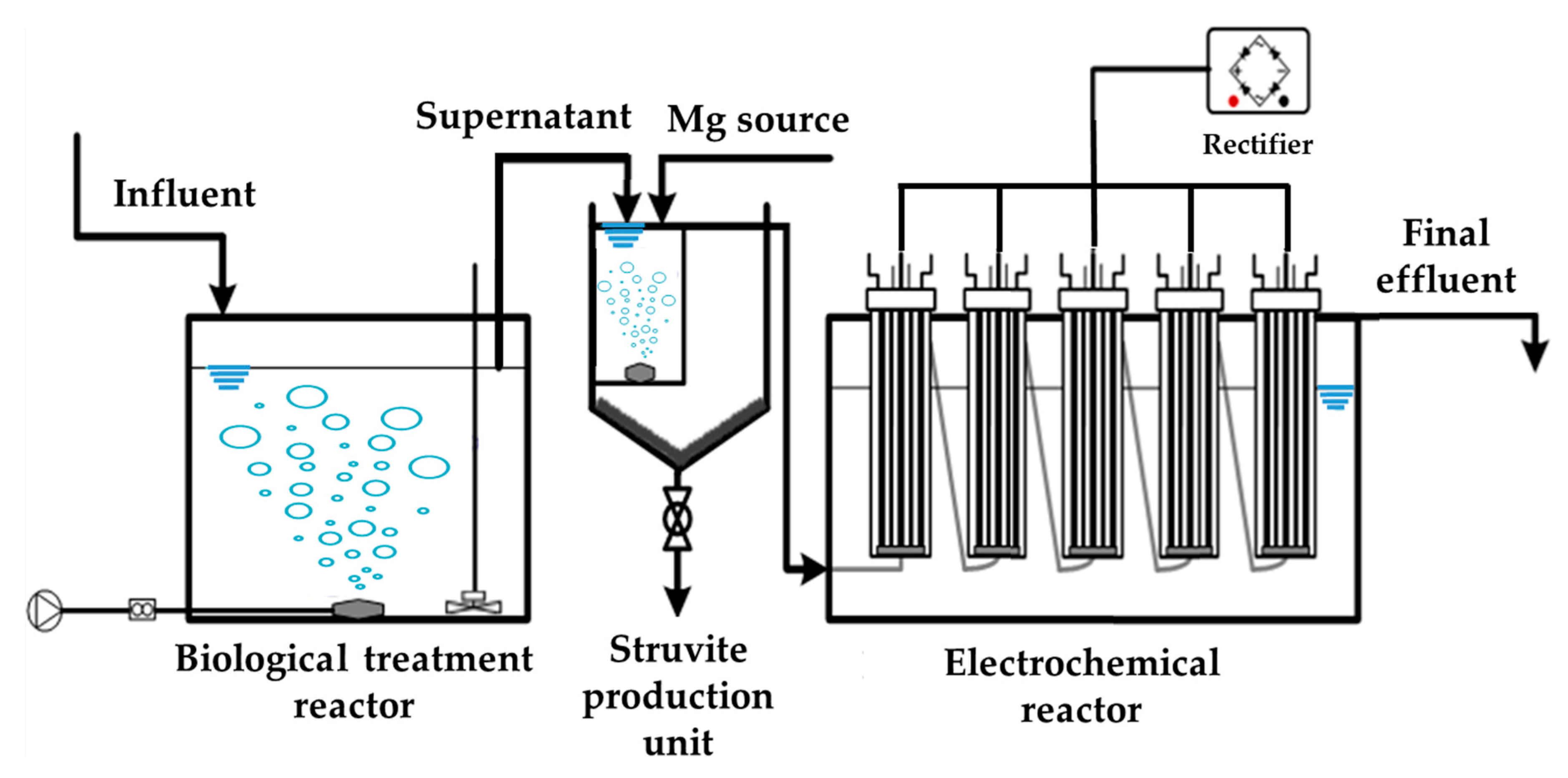 Animals 10 00835 g003 Animals 10 00835 g003
