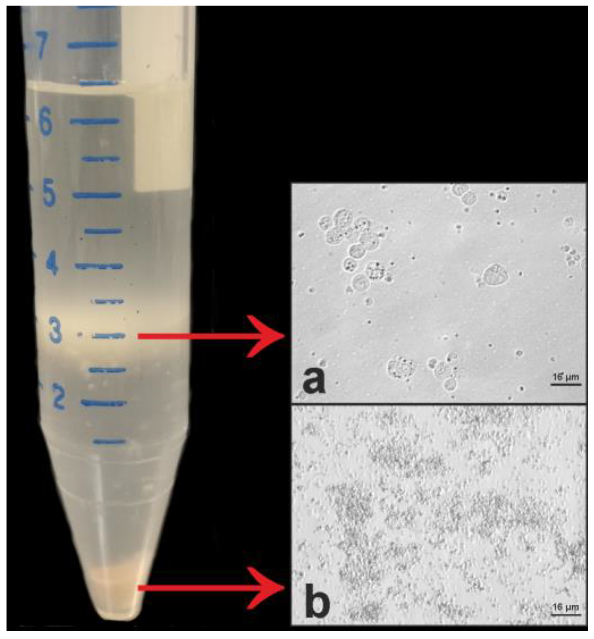 Animals 10 00851 g003 Animals 10 00851 g003