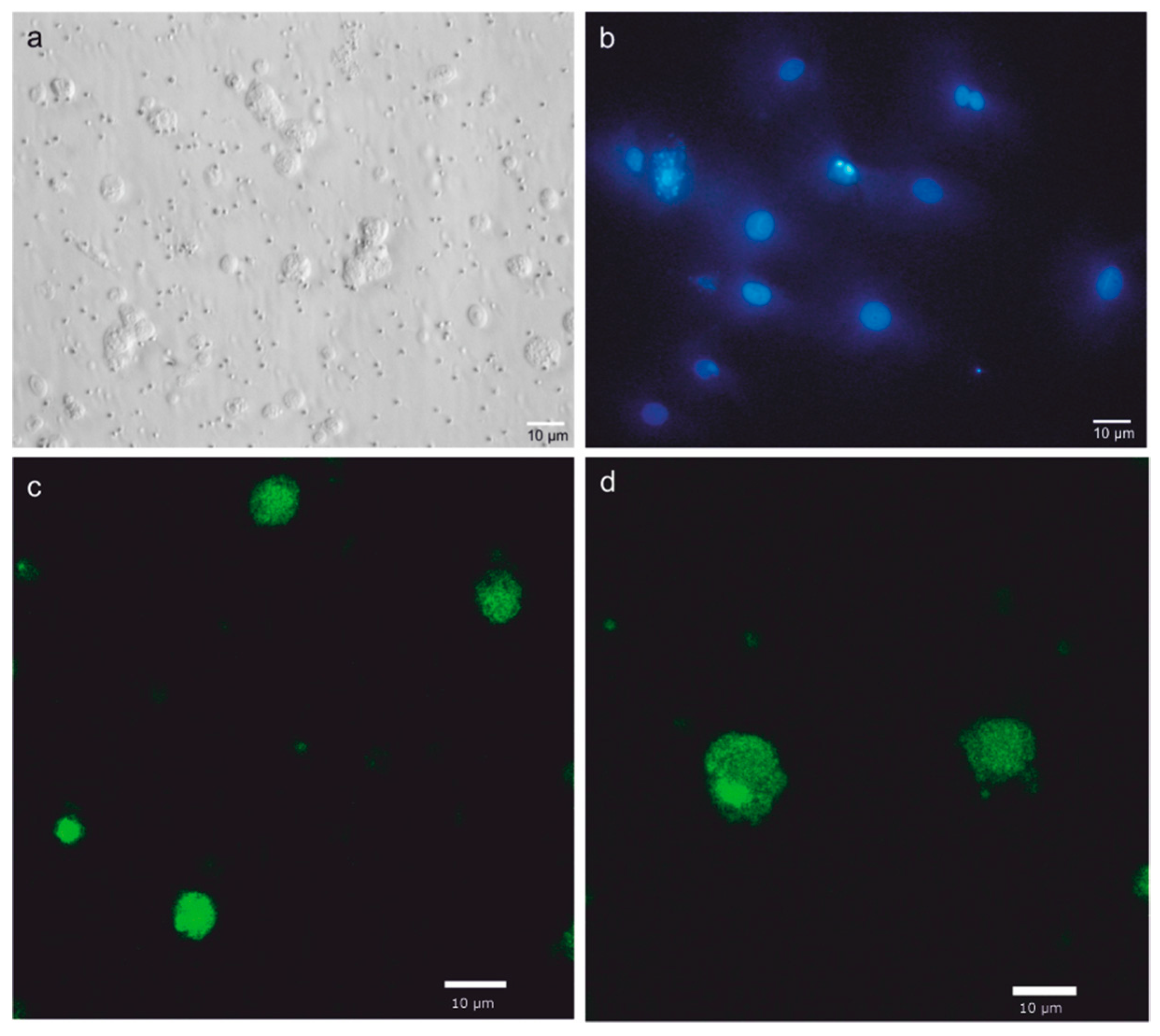 Animals 10 00851 g006 Animals 10 00851 g006